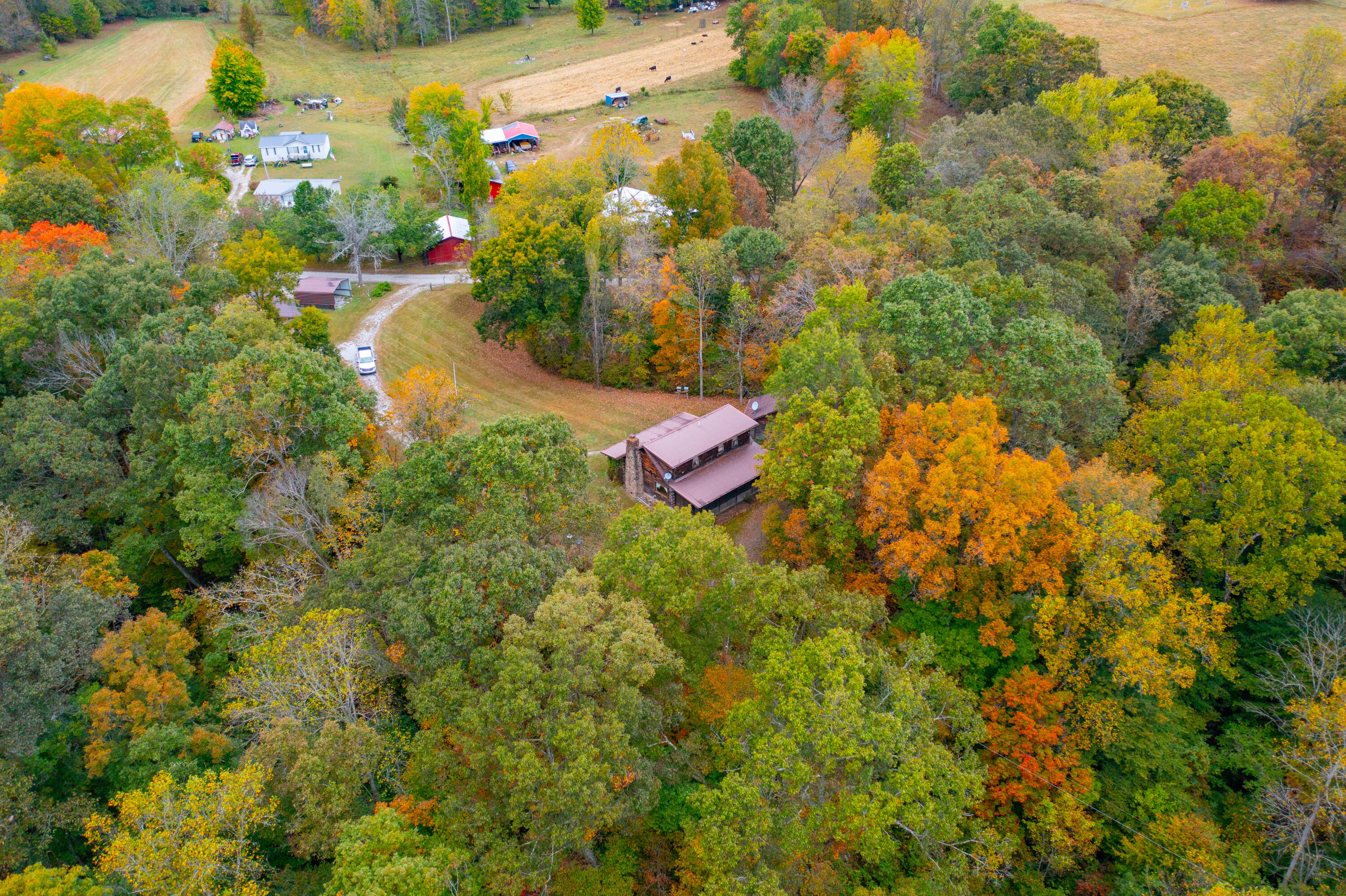 297 Jim Bernard Road Property Photo 28