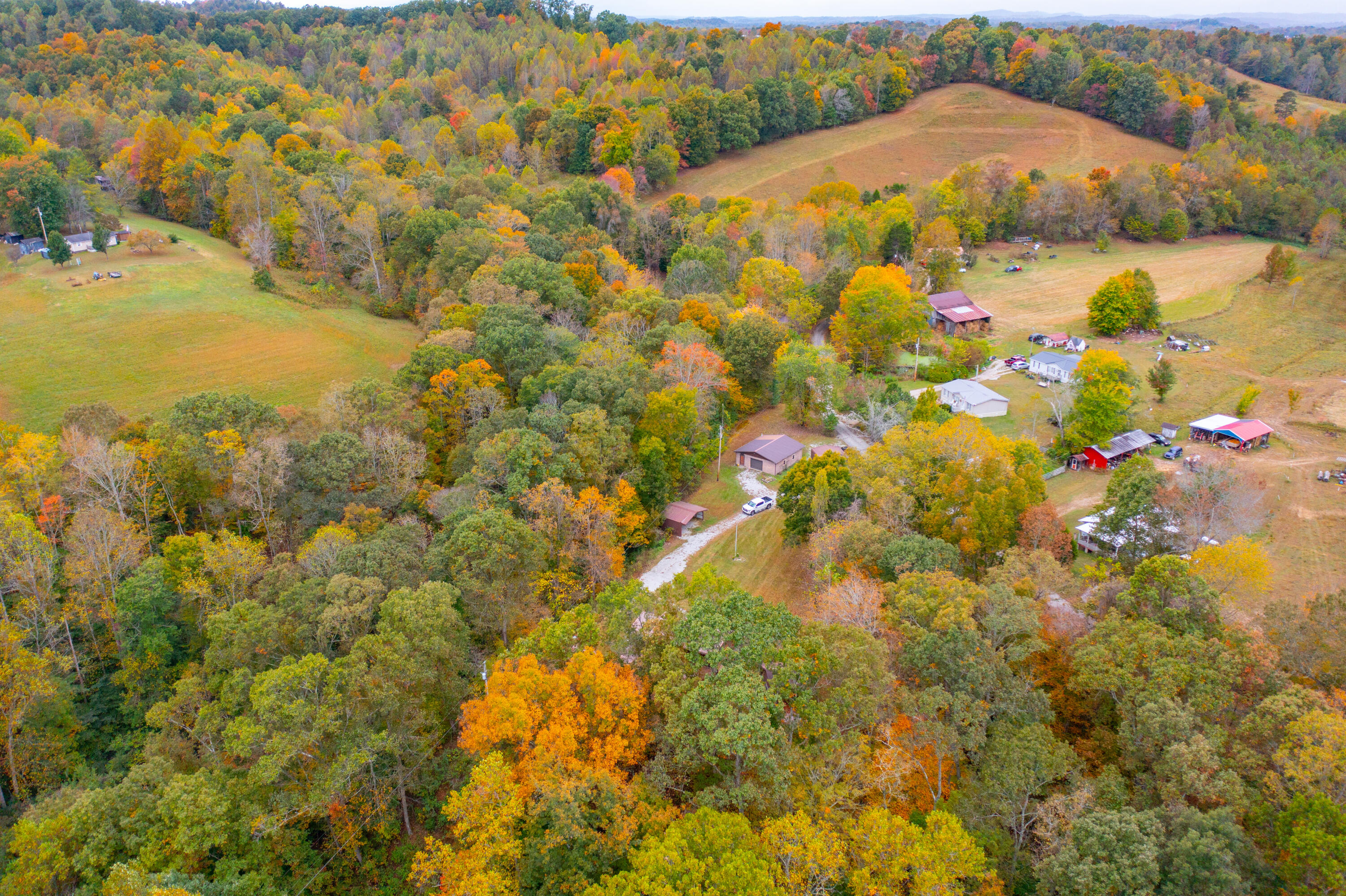297 Jim Bernard Road Property Photo 29