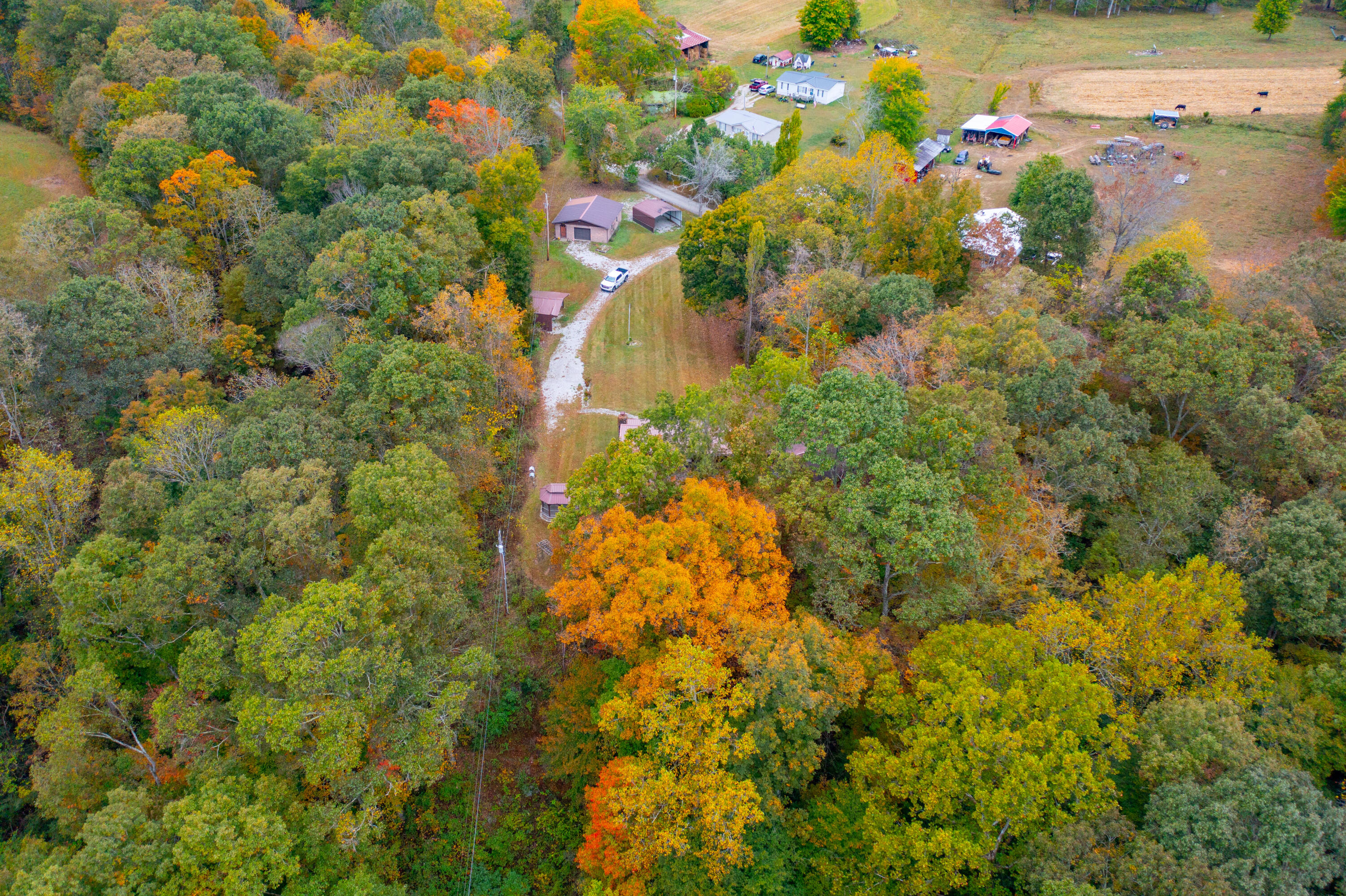 297 Jim Bernard Road Property Photo 34
