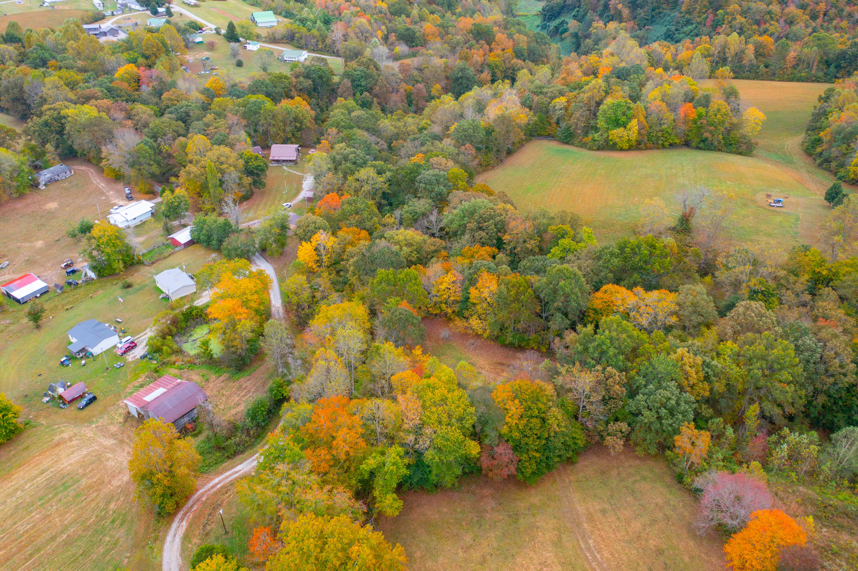297 Jim Bernard Road Property Photo 35