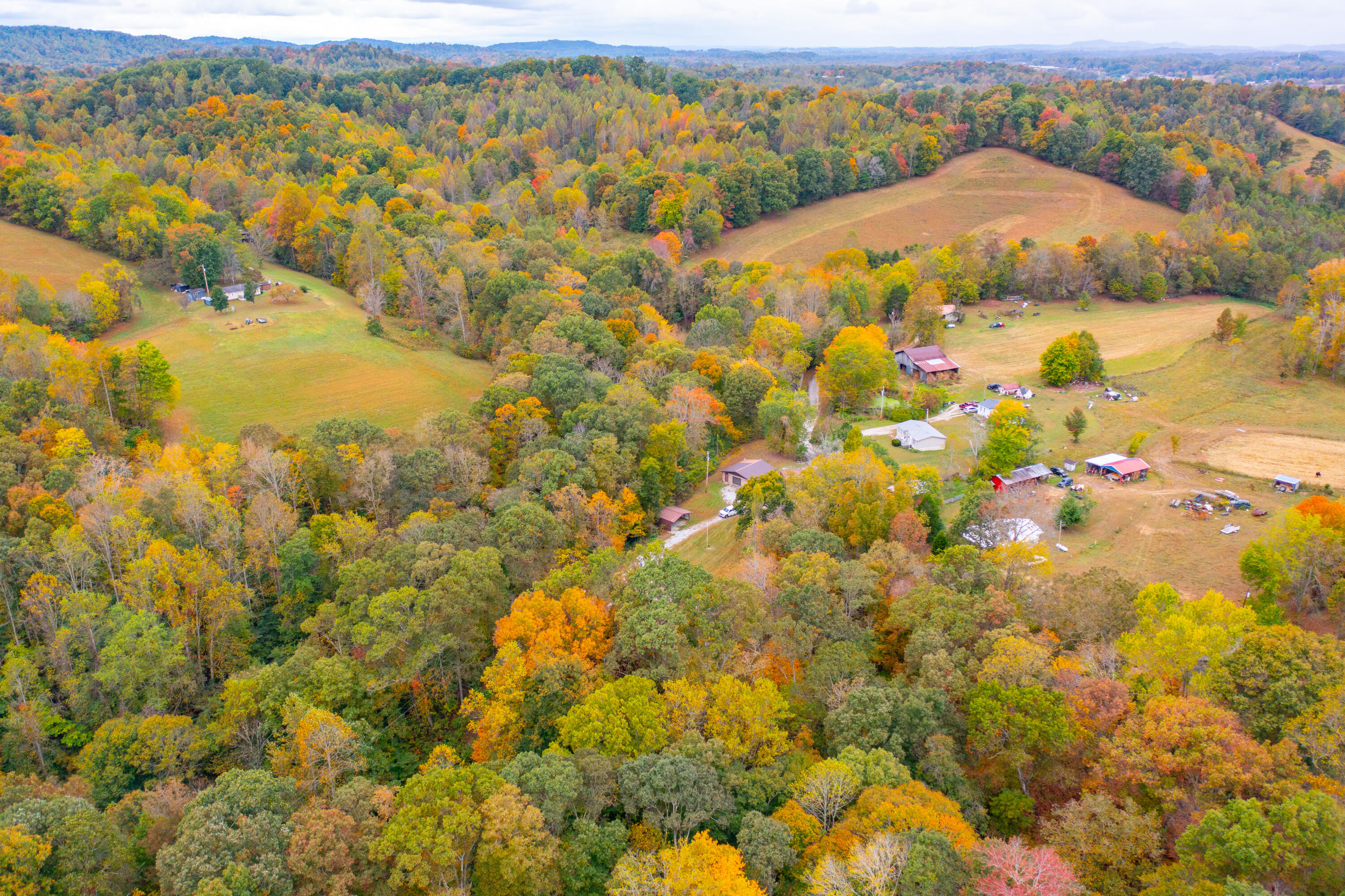 297 Jim Bernard Road Property Photo 37