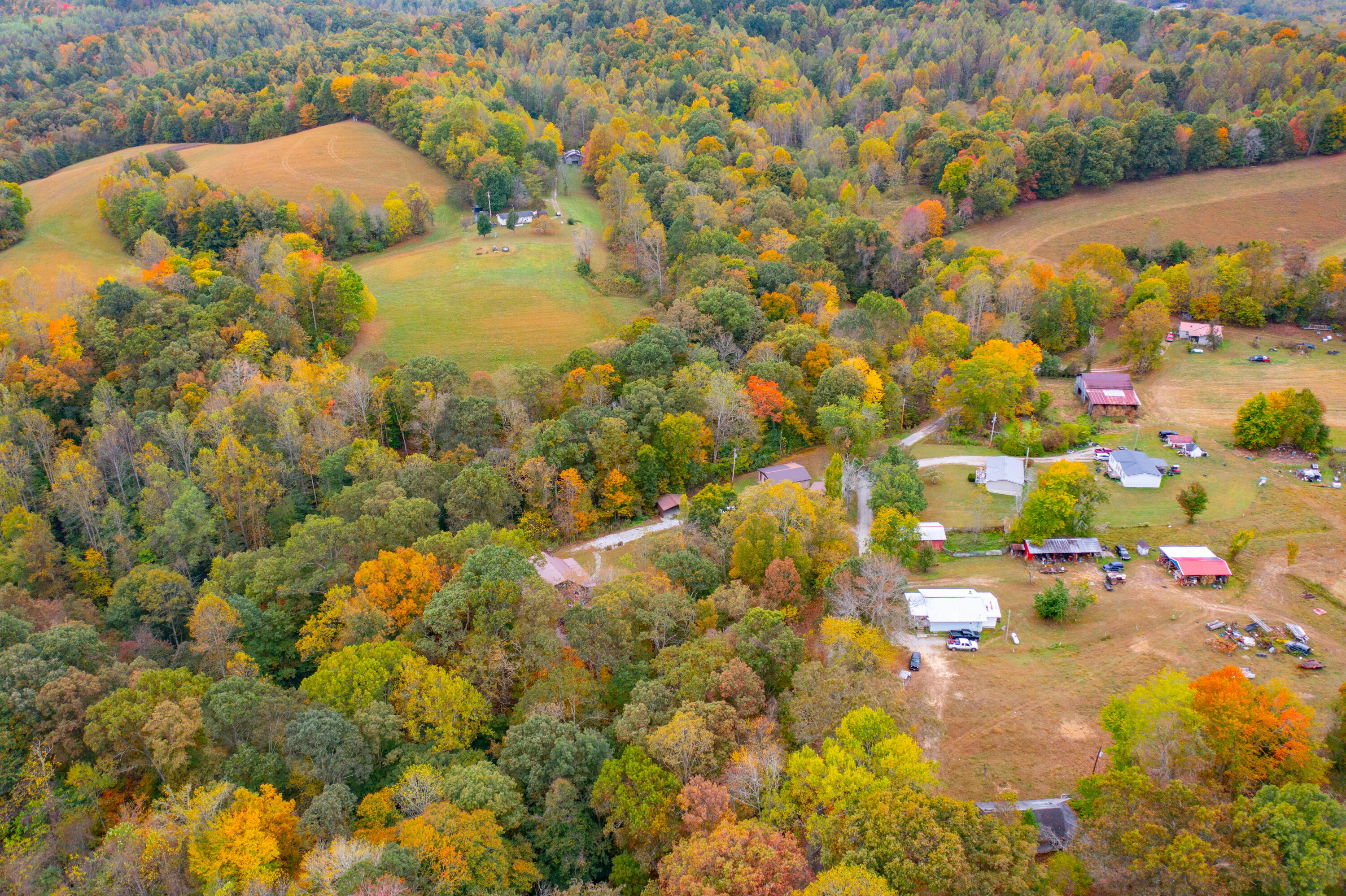 297 Jim Bernard Road Property Photo 75