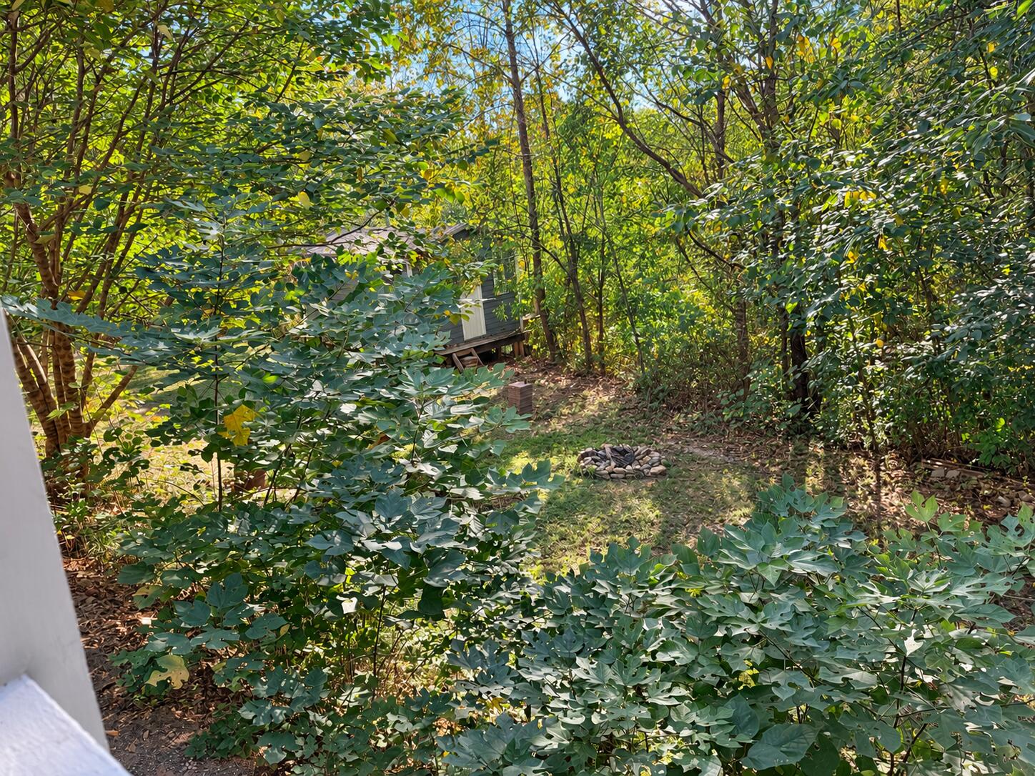 496 Cedar Bluff Circle Road Property Photo 37