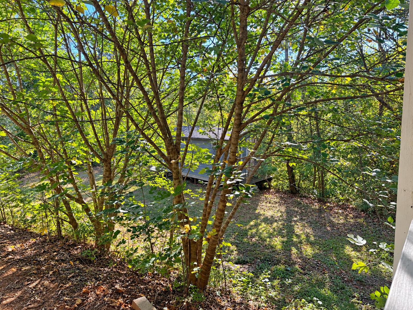 496 Cedar Bluff Circle Road Property Photo 46