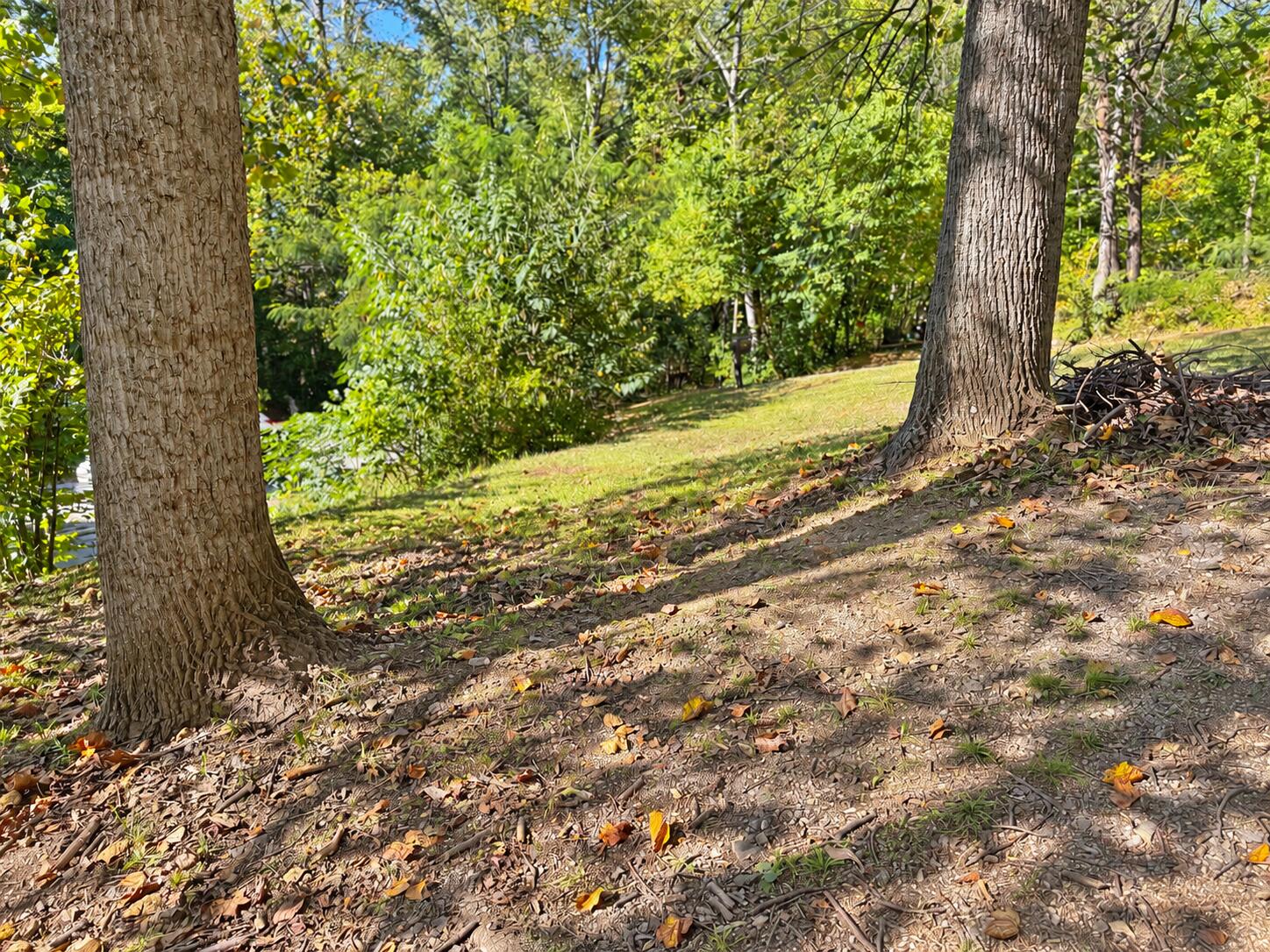 496 Cedar Bluff Circle Road Property Photo 48