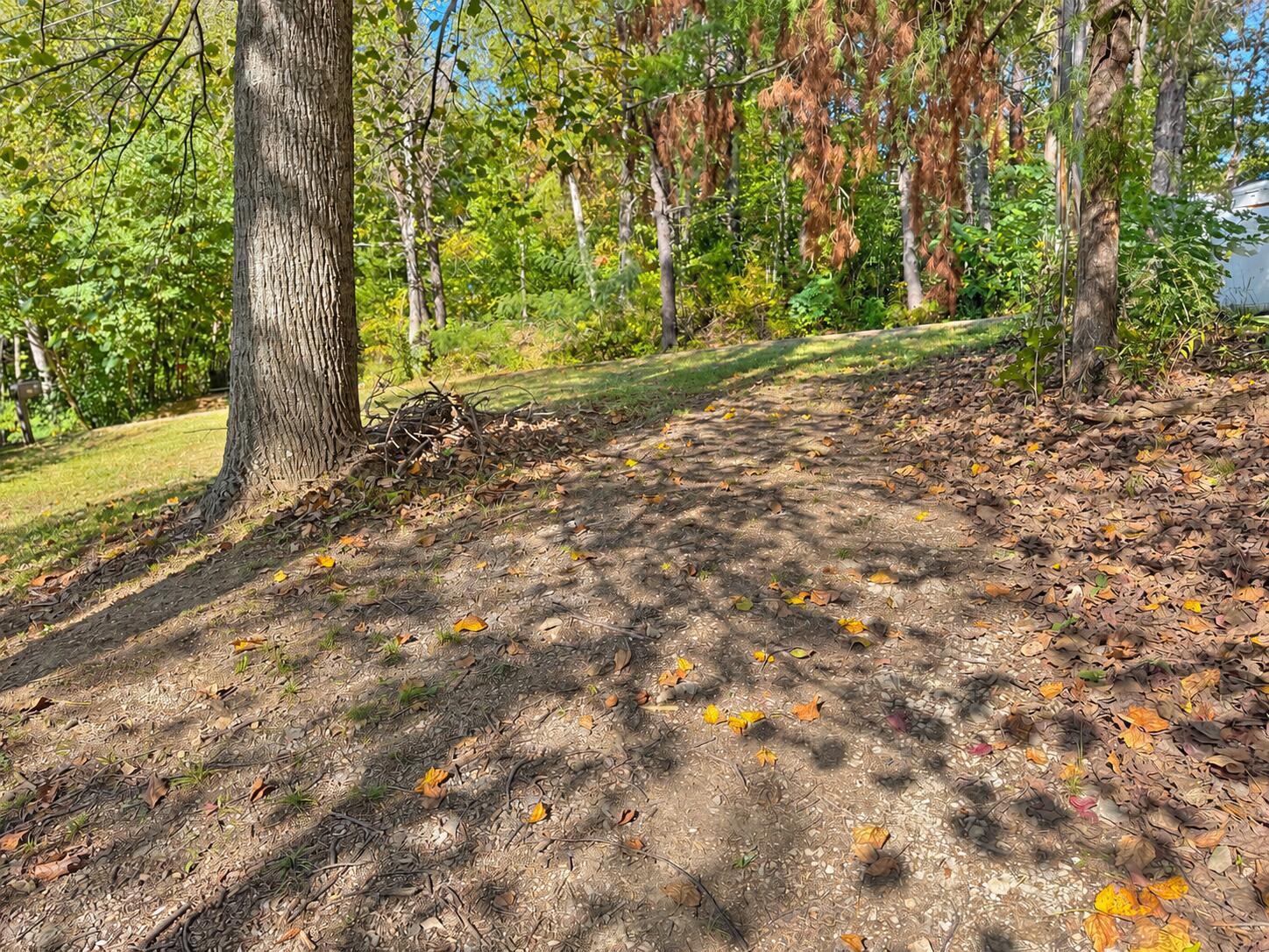 496 Cedar Bluff Circle Road Property Photo 49