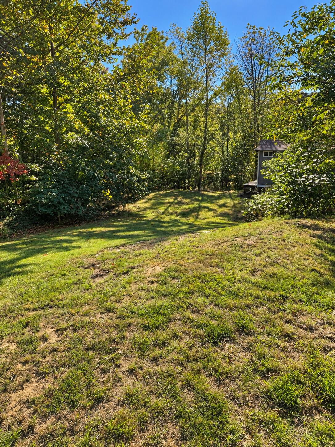 496 Cedar Bluff Circle Road Property Photo 64