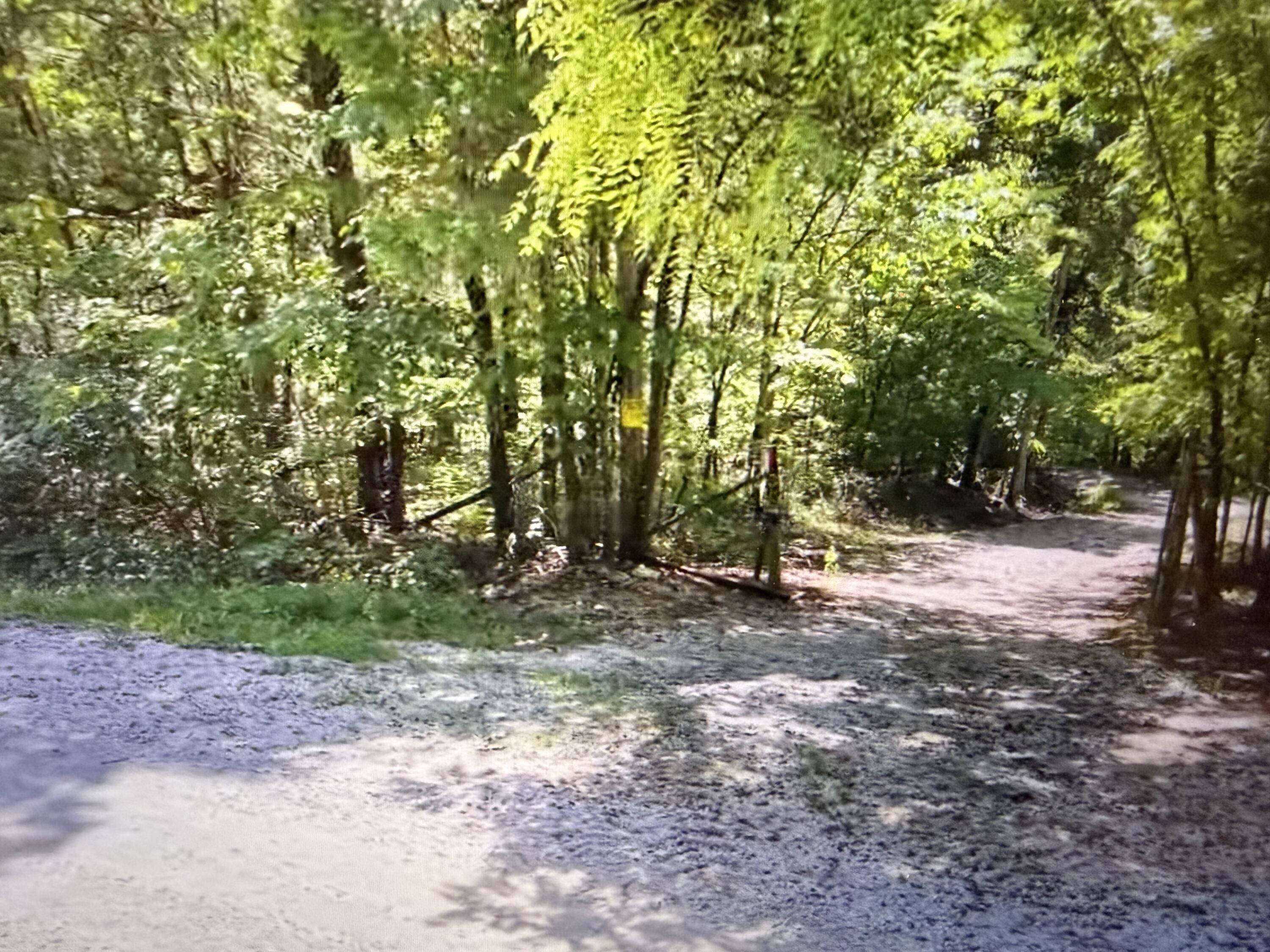 900 Parmleysville Road Property Photo 20