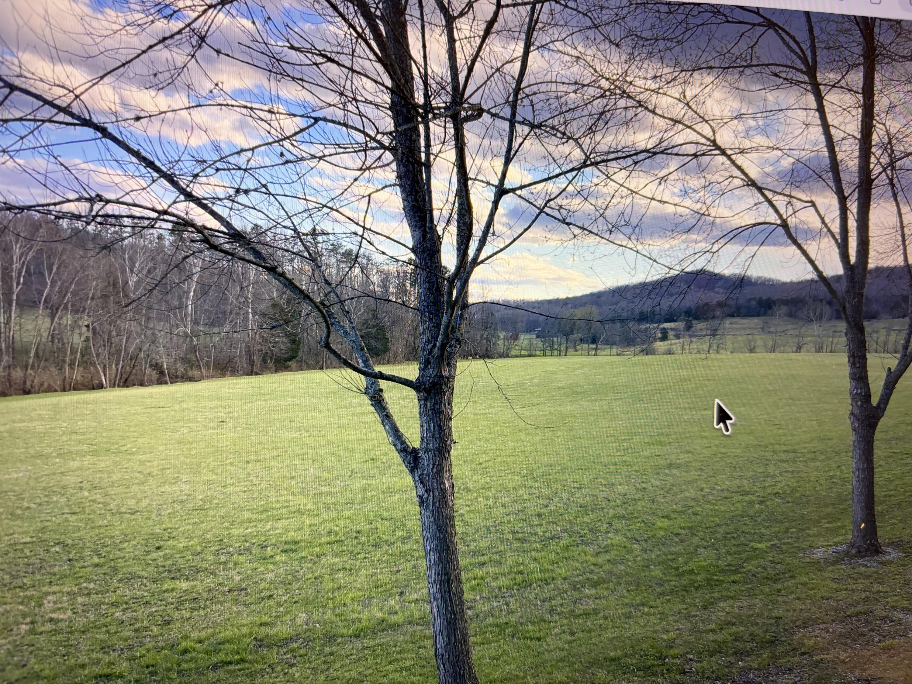 900 Parmleysville Road Property Photo 16