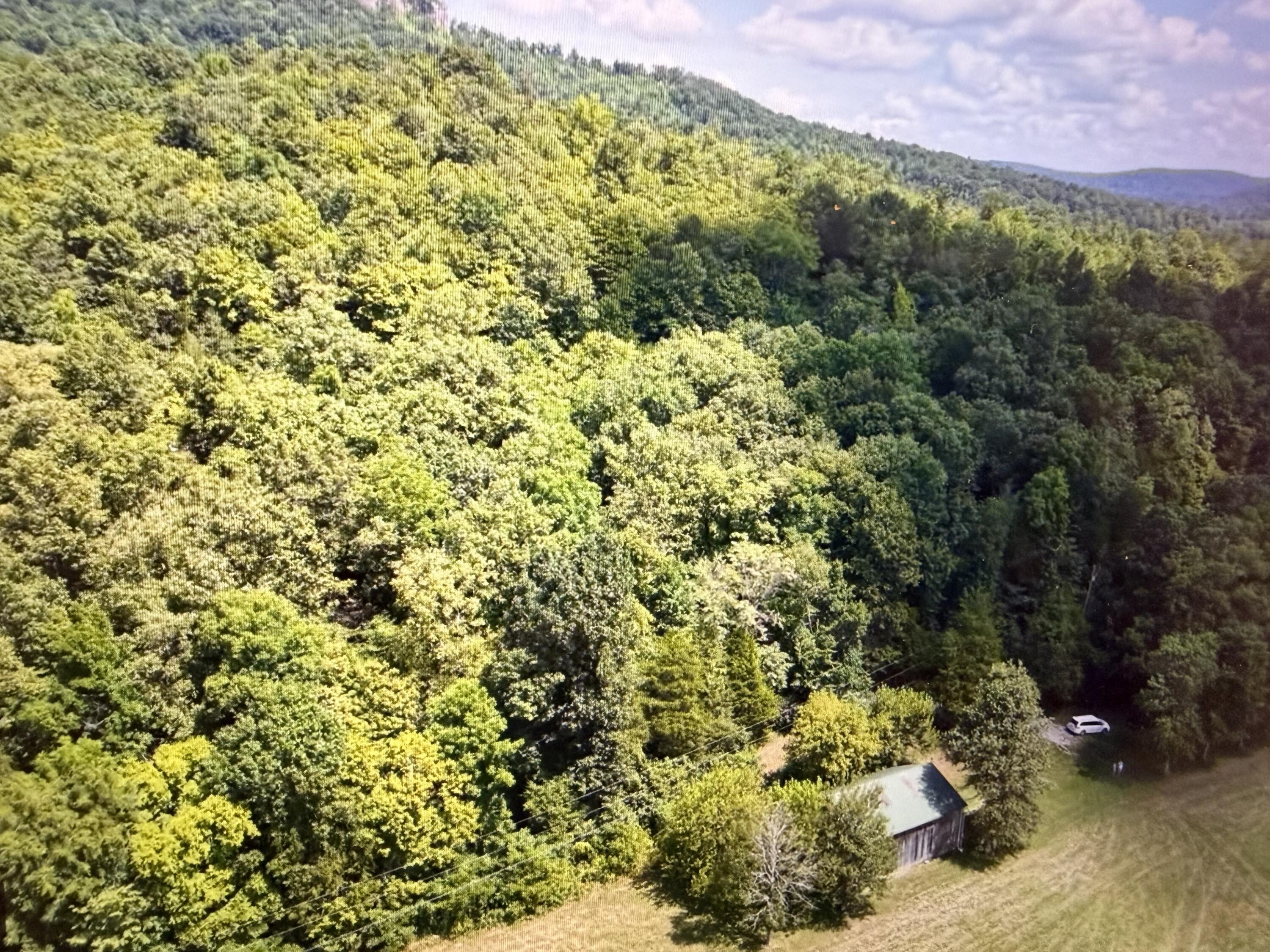 900 Parmleysville Road Property Photo 21