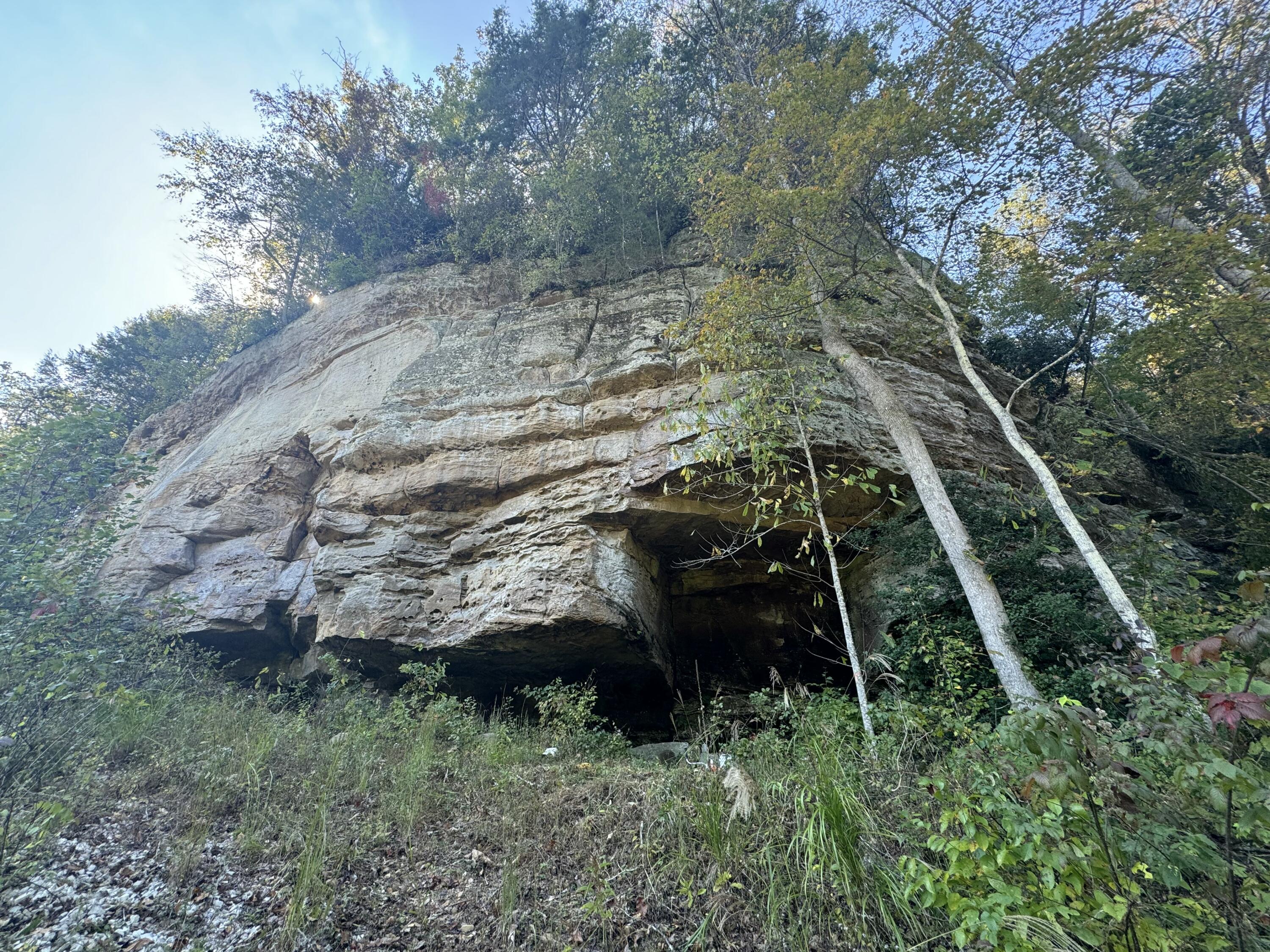 299 Gold Mine Road Property Photo 1