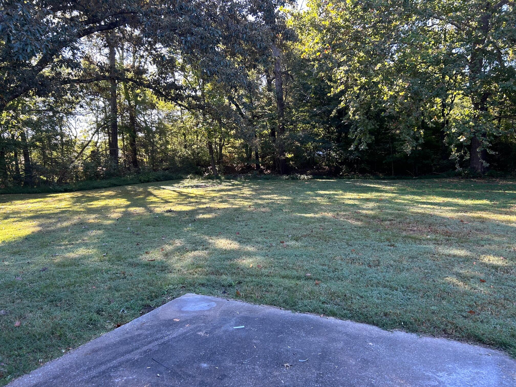 101 Gilbert Street Property Photo 24