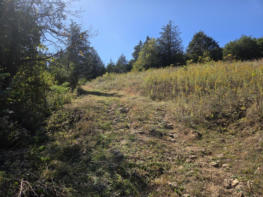 200 S Lick Branch Road Property Photo 24