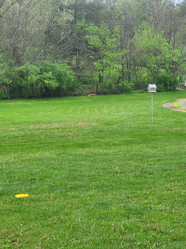 200 S Lick Branch Road Property Photo 45