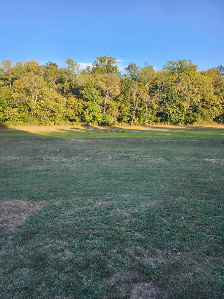 200 S Lick Branch Road Property Photo 46
