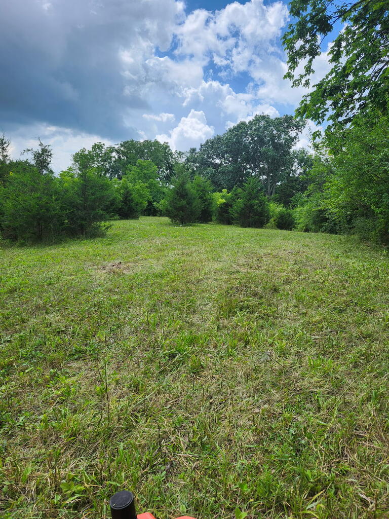 200 S Lick Branch Road Property Photo 49