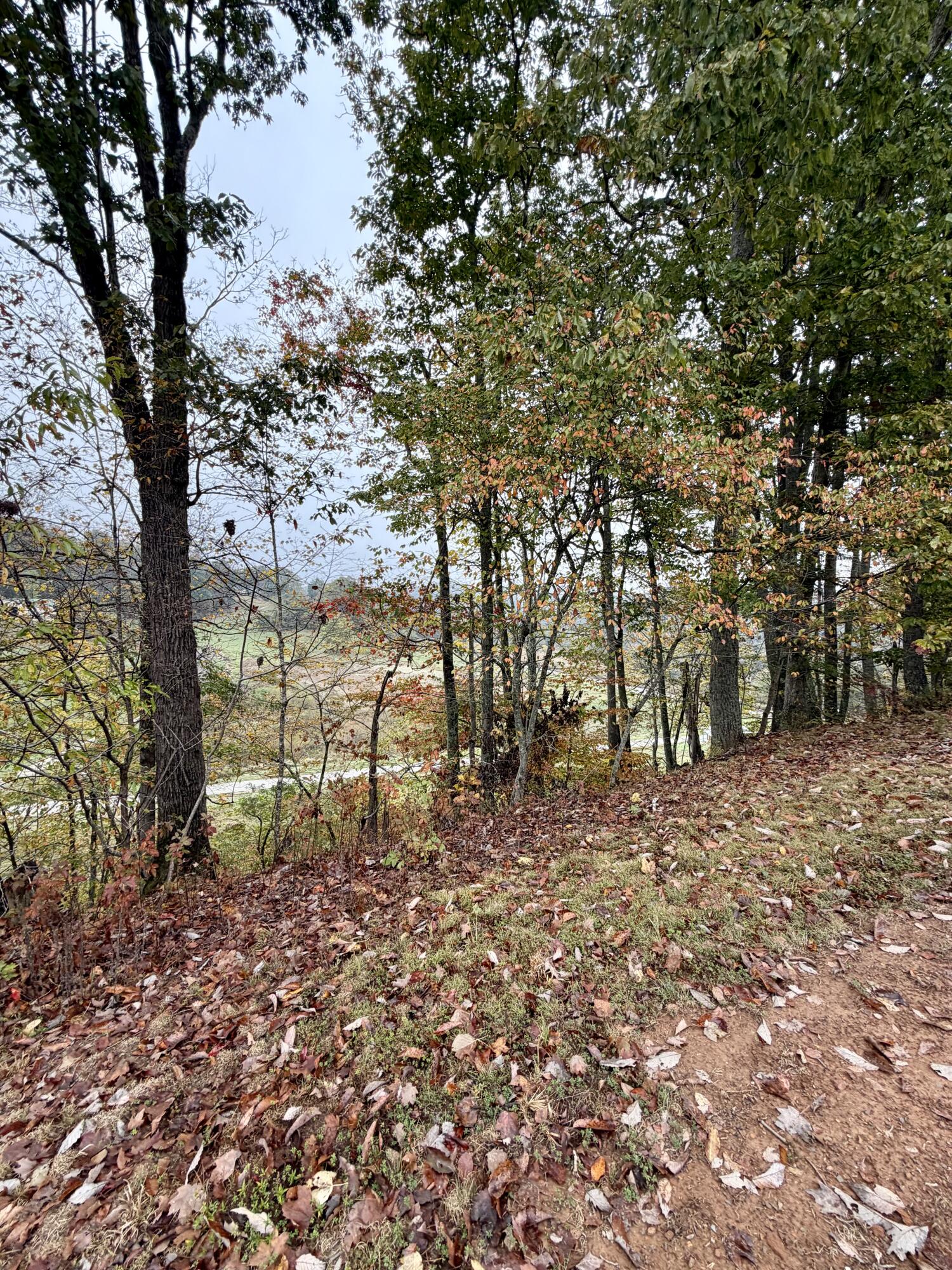 805 Burton Williams Road Property Photo 10