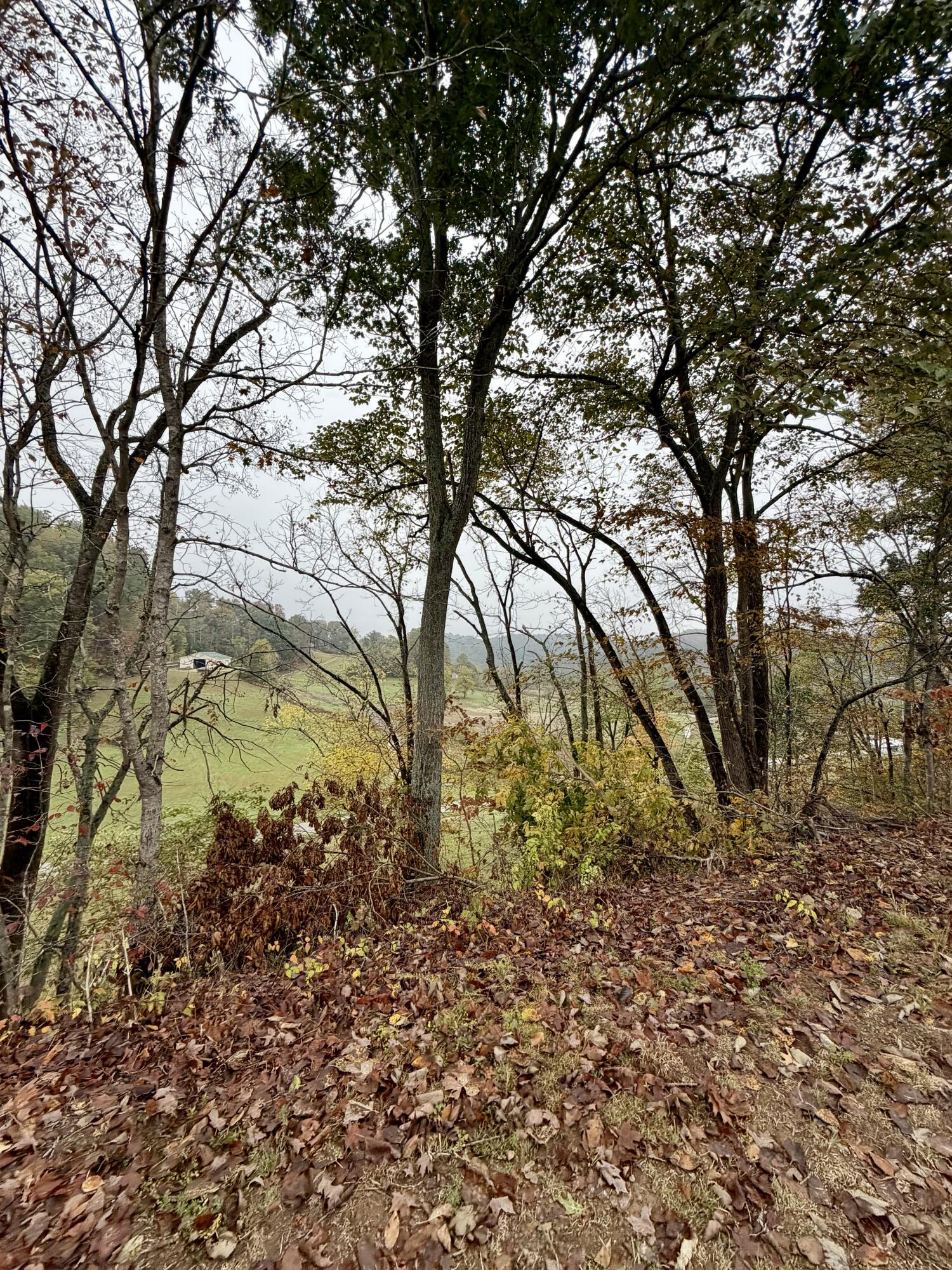 805 Burton Williams Road Property Photo 11