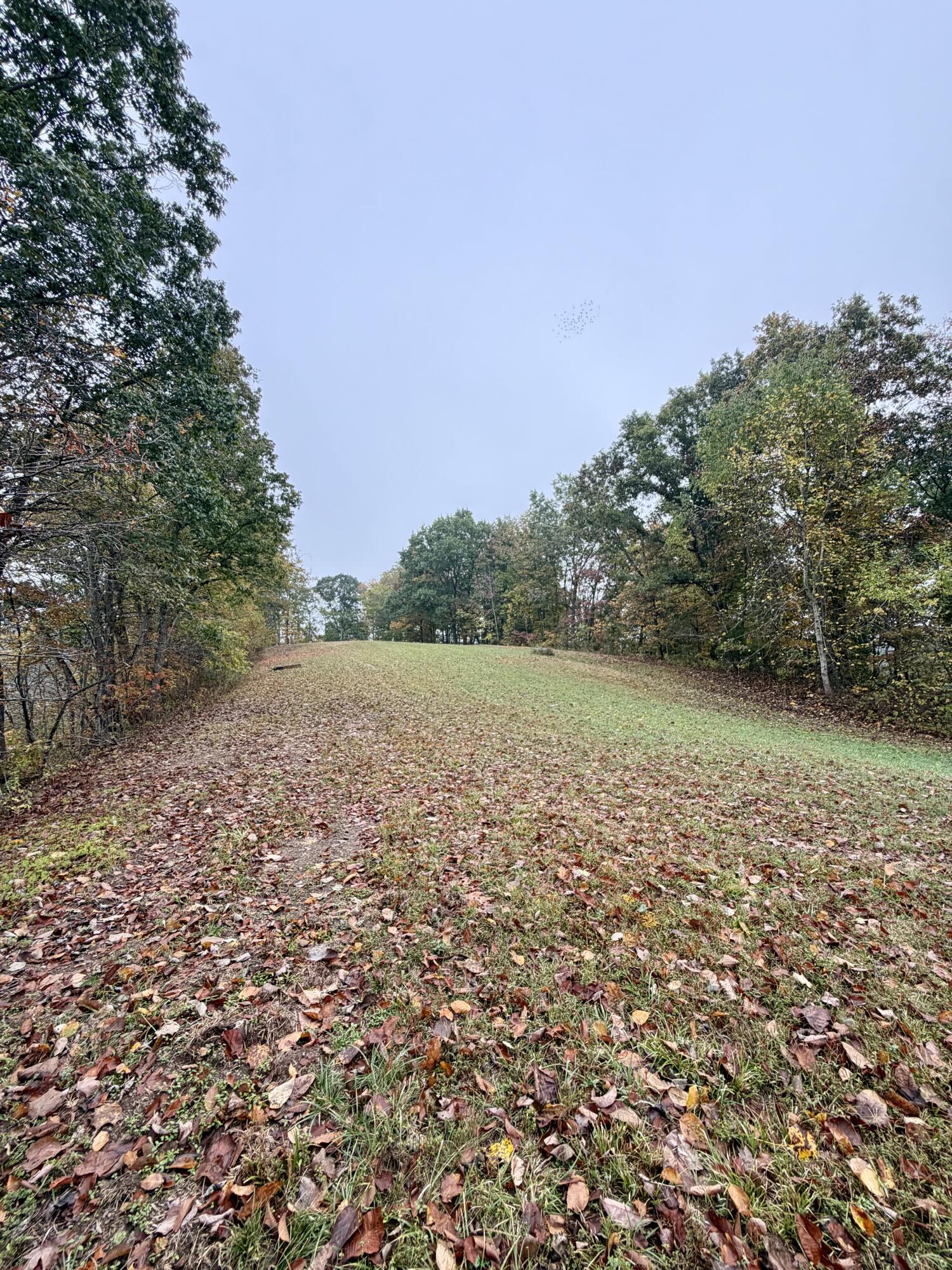 805 Burton Williams Road Property Photo 12