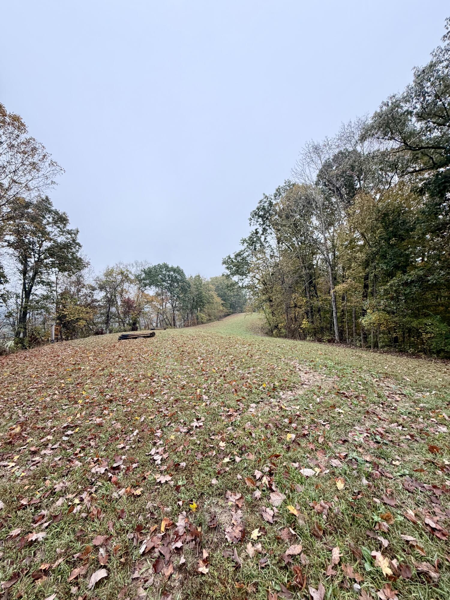 805 Burton Williams Road Property Photo 14