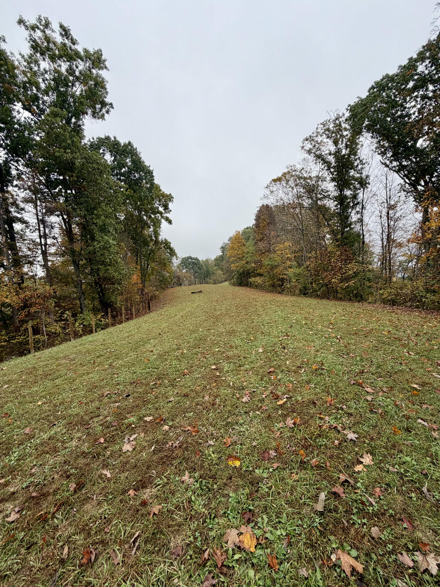 805 Burton Williams Road Property Photo 15