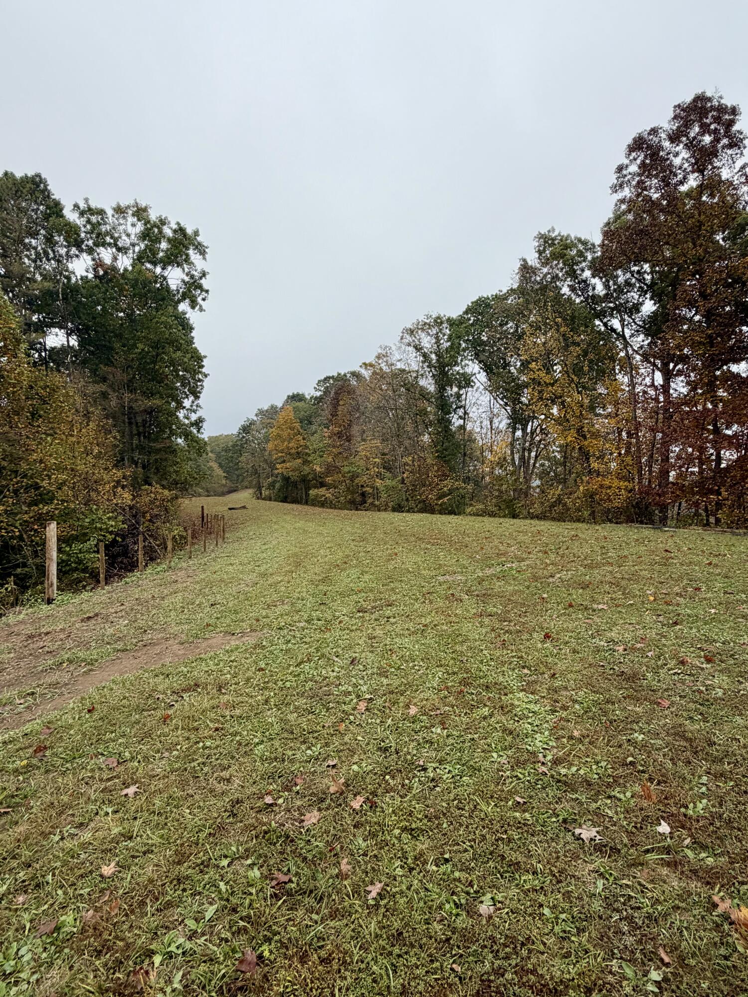 805 Burton Williams Road Property Photo 16