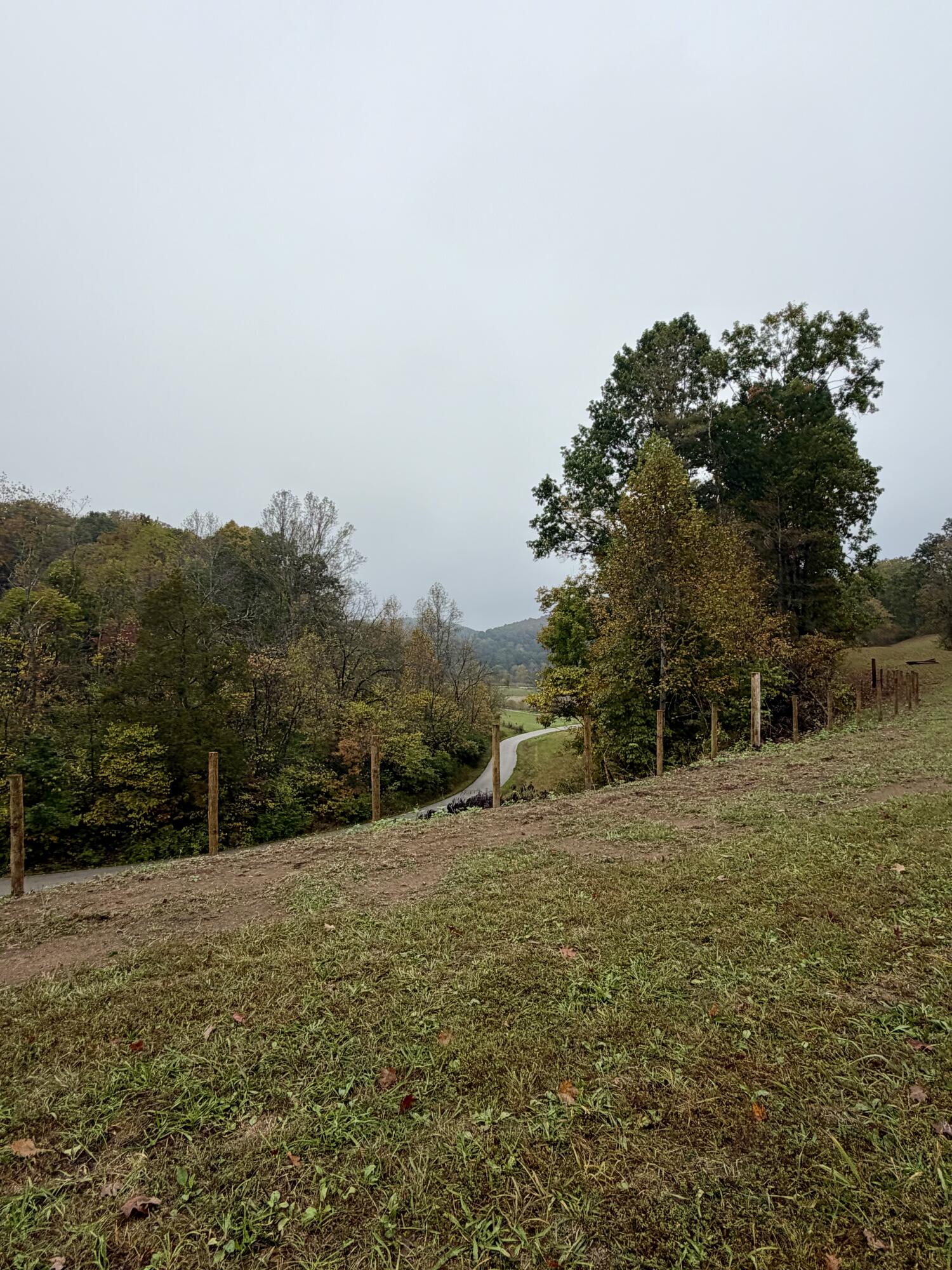 805 Burton Williams Road Property Photo 17