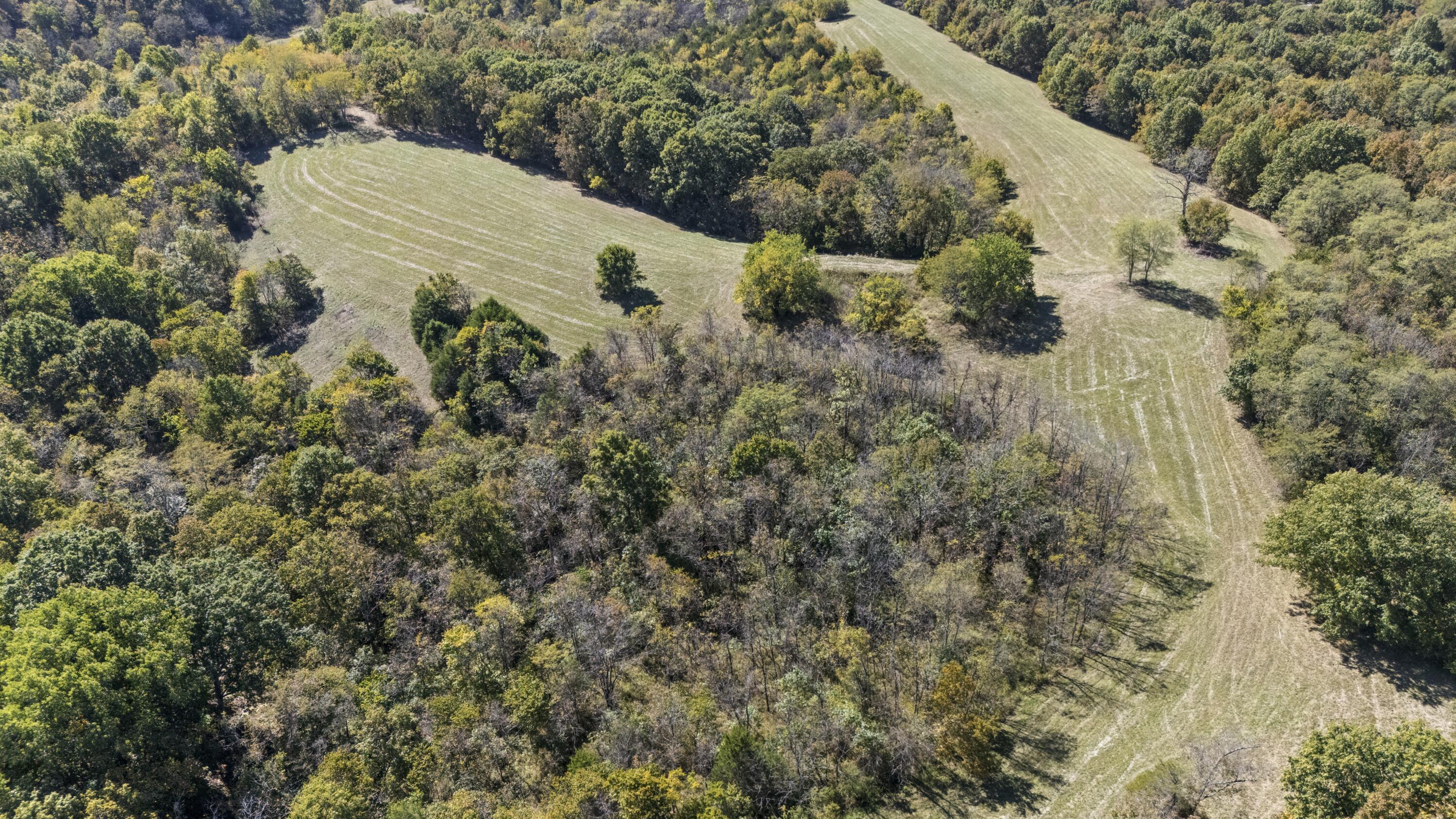 1623 Burton Pike Property Photo 6