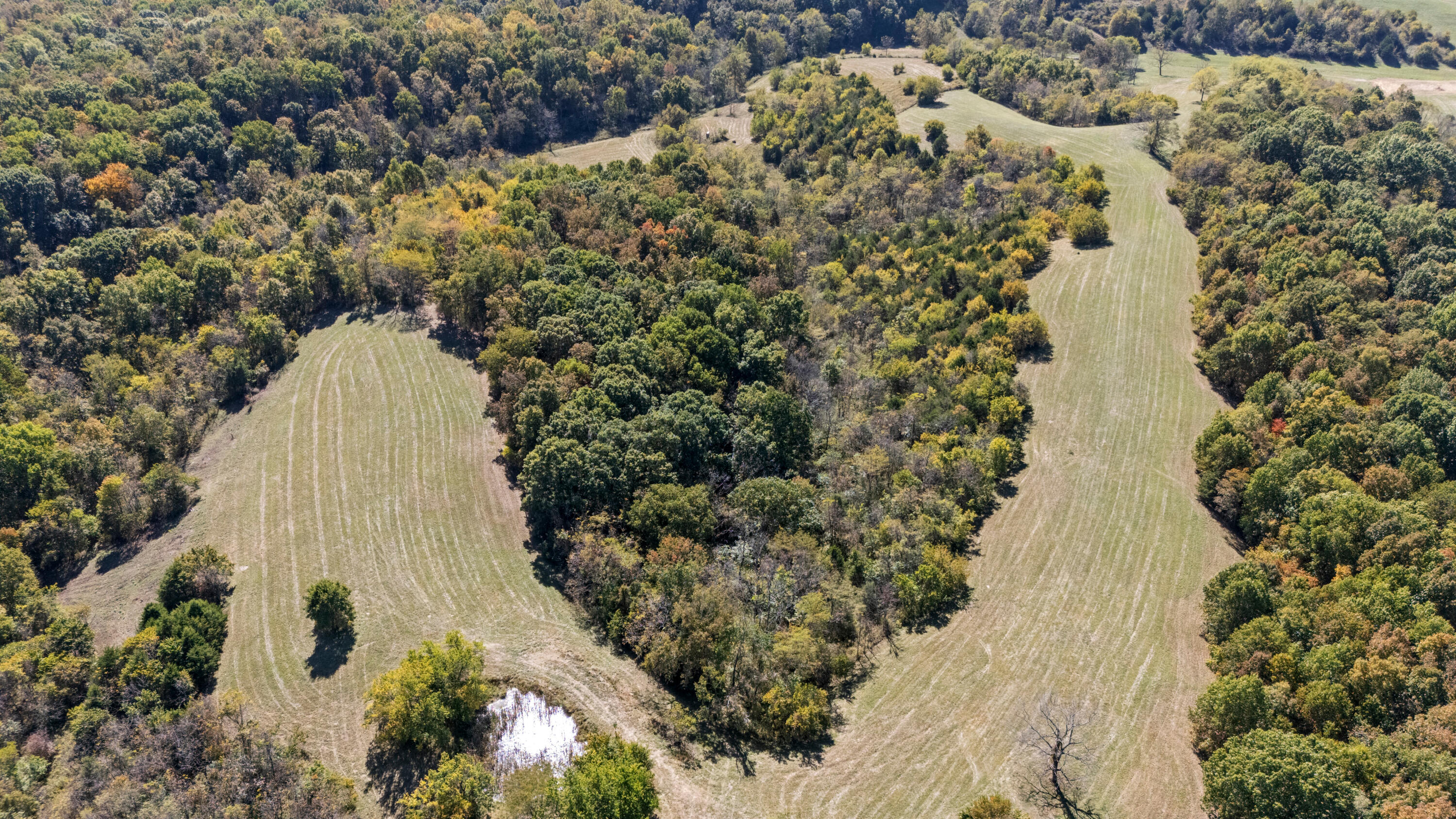 1623 Burton Pike Property Photo 7