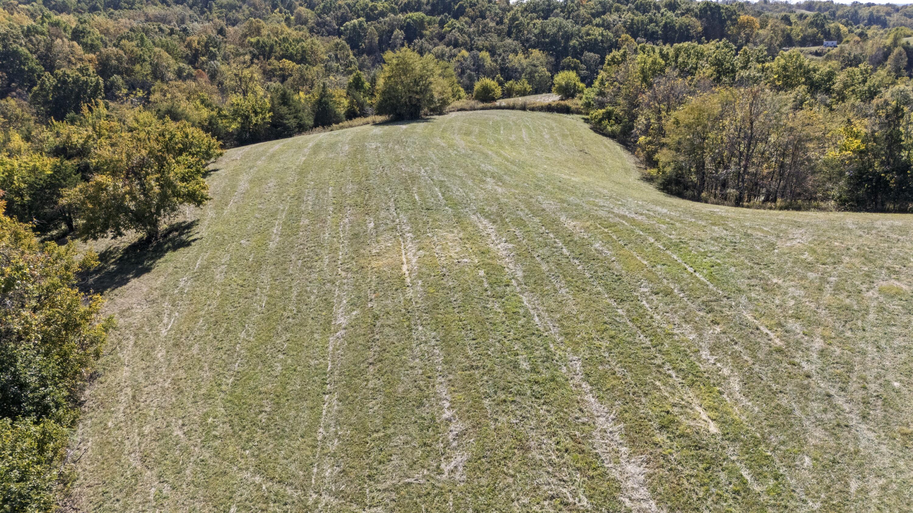1623 Burton Pike Property Photo 9