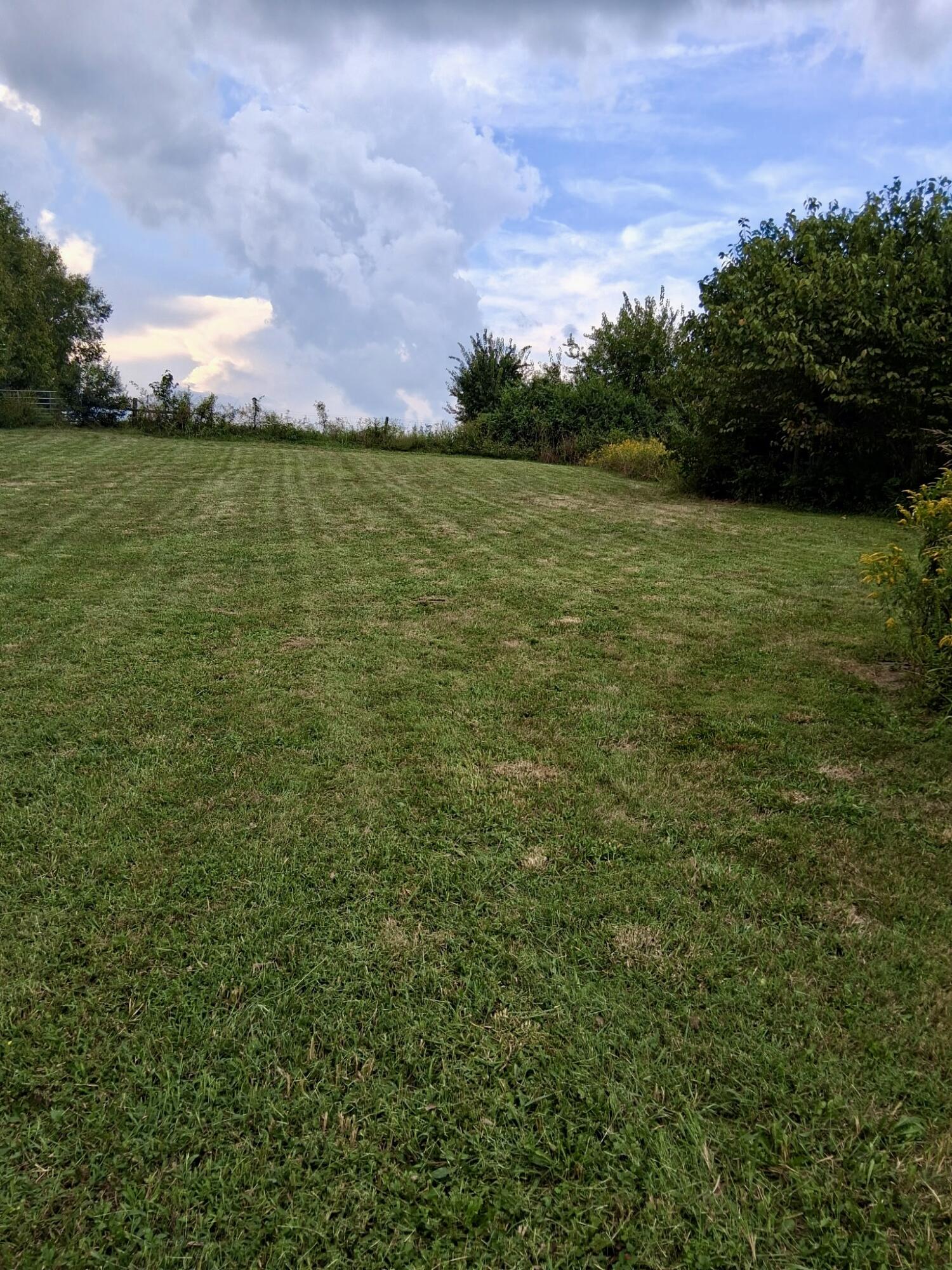 970 State Highway 1194 Property Photo 15
