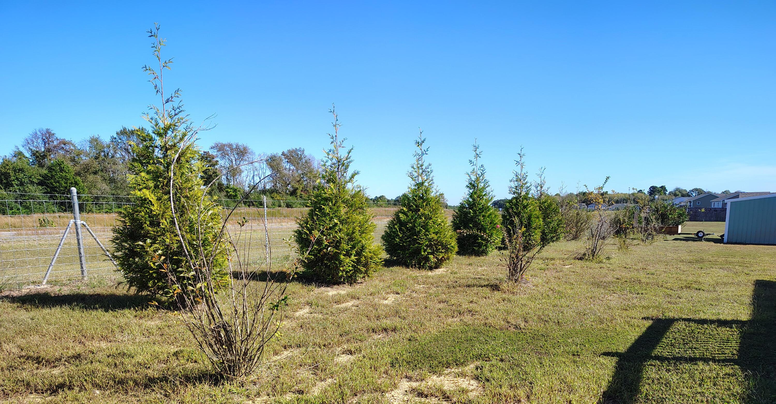 60 Damascus Lane Property Photo 8