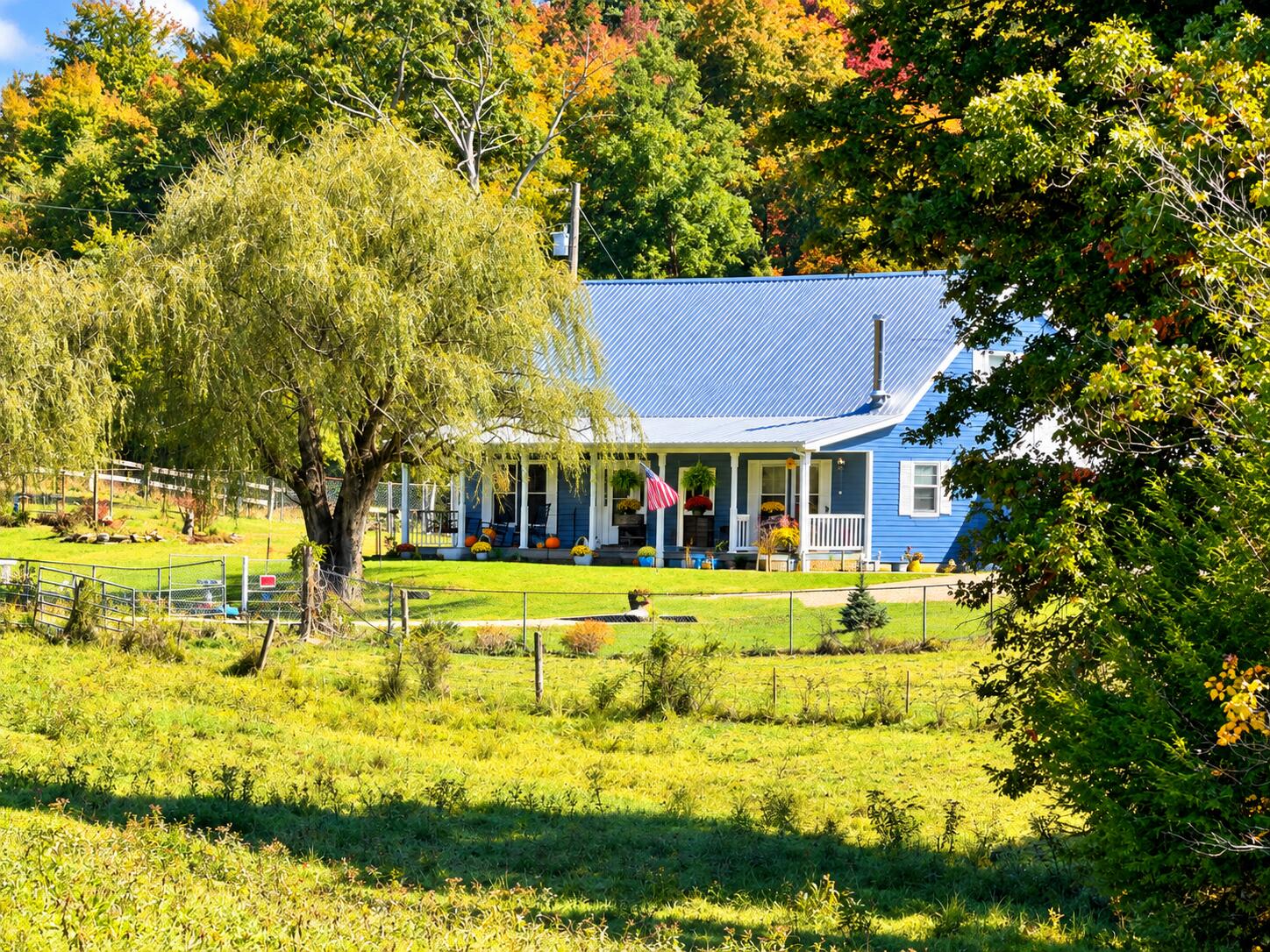 11039 Brown Ridge Road Property Photo 17