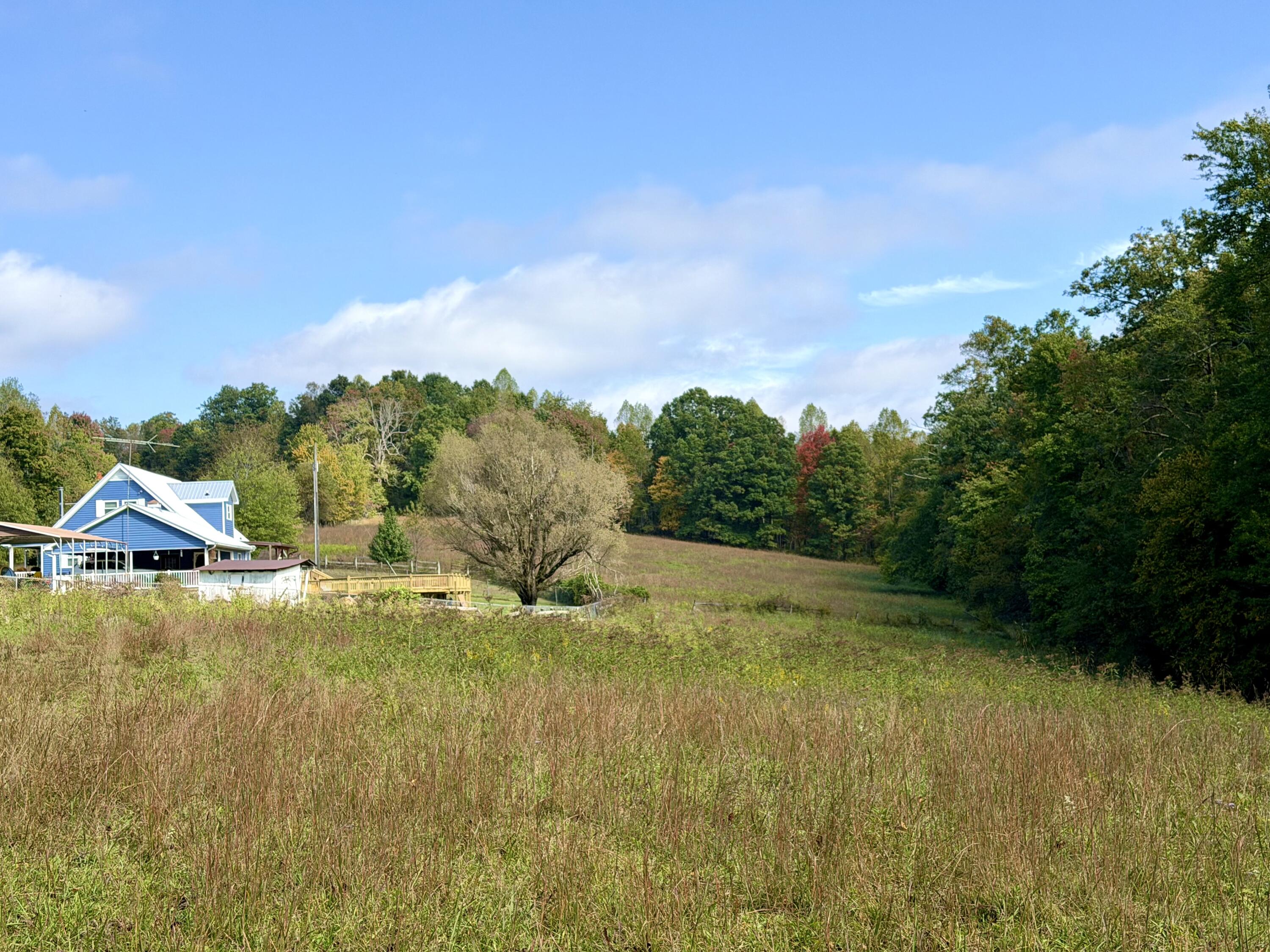 11039 Brown Ridge Road Property Photo 59