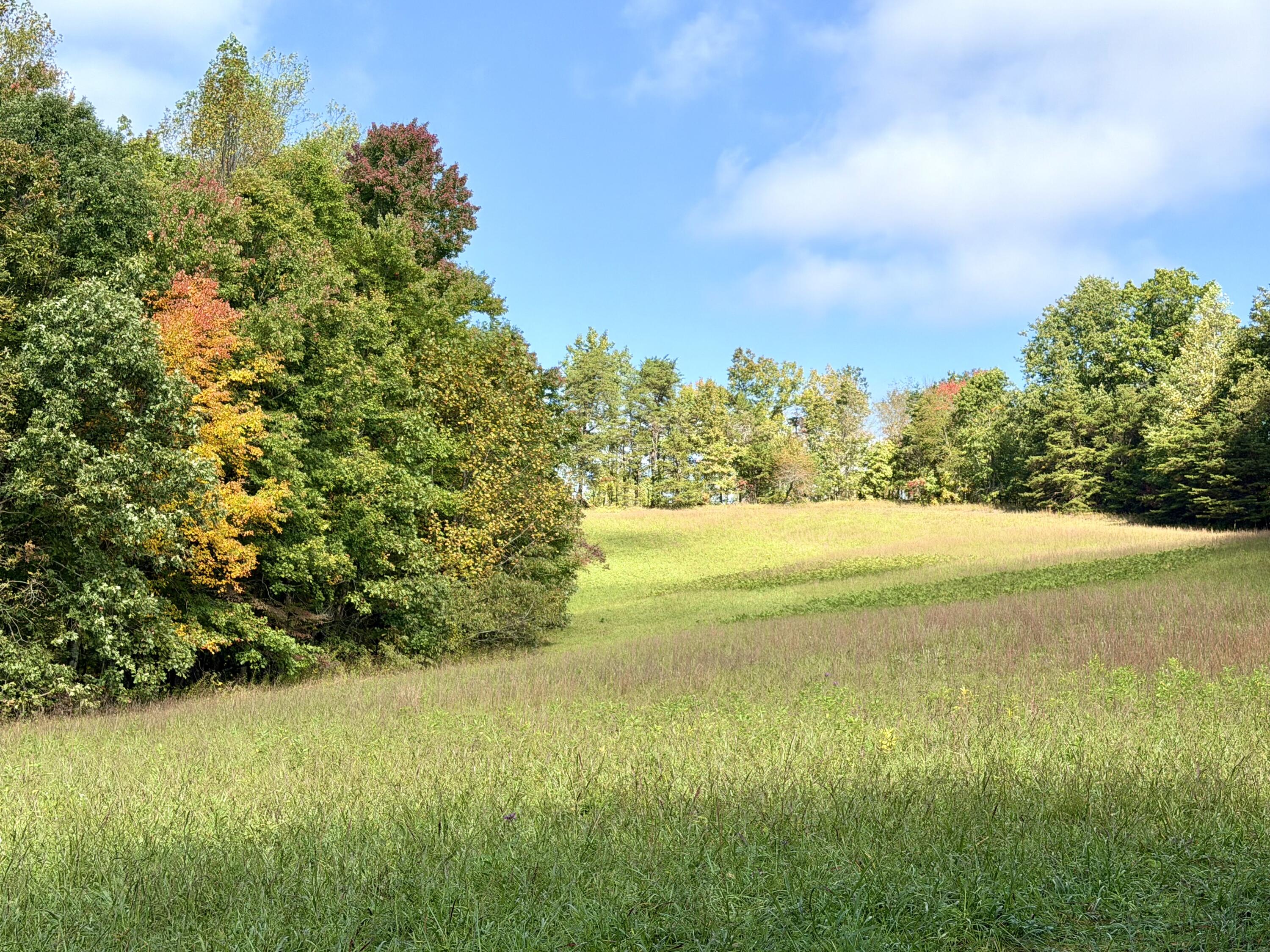 11039 Brown Ridge Road Property Photo 61