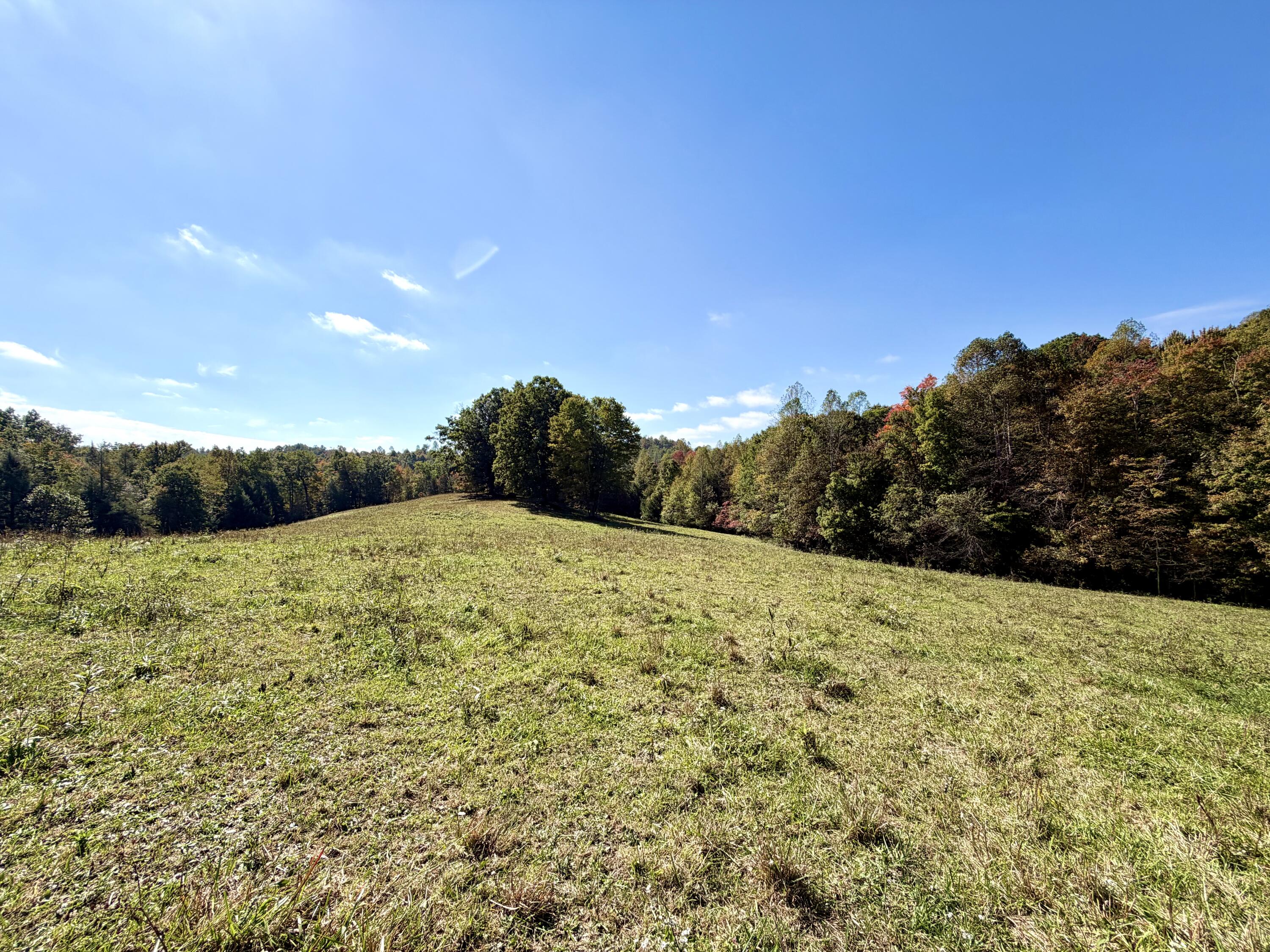 11039 Brown Ridge Road Property Photo 68