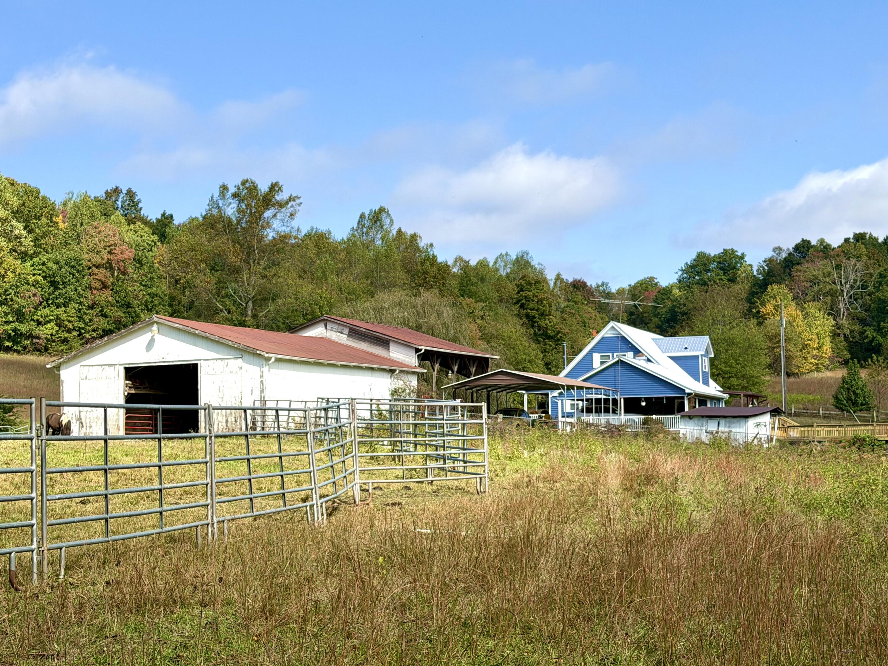 11039 Brown Ridge Road Property Photo 58
