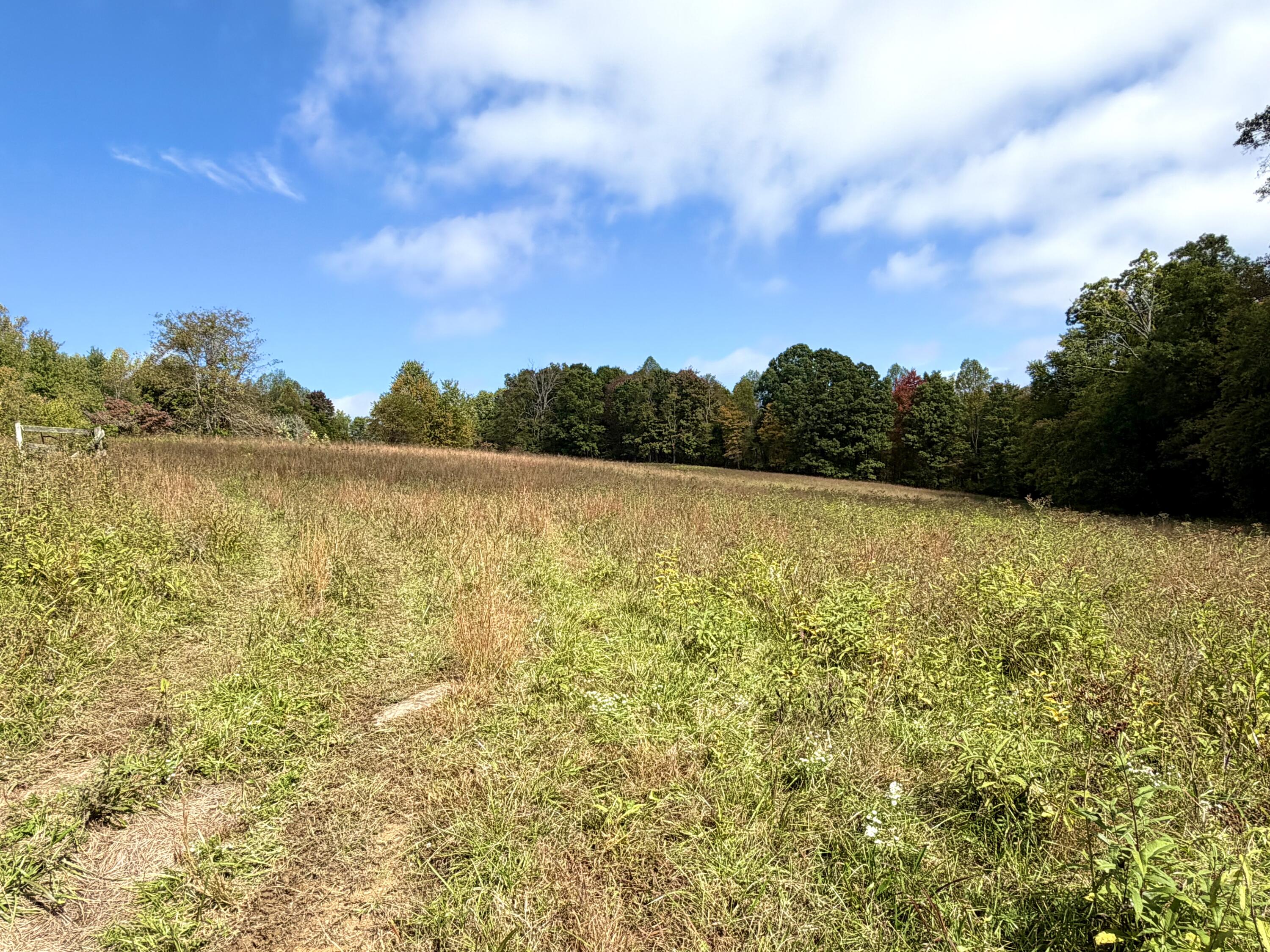 11039 Brown Ridge Road Property Photo 61