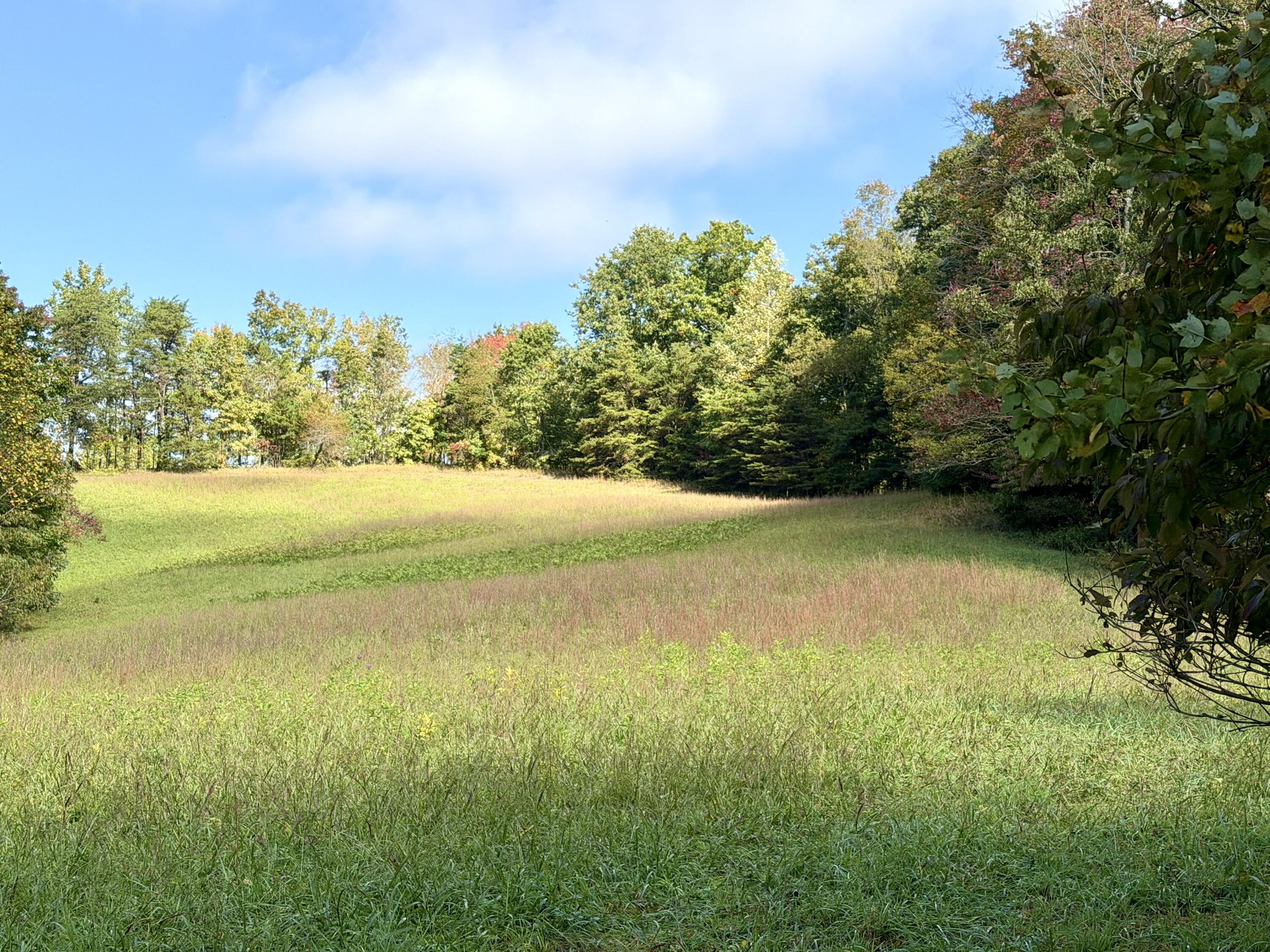 11039 Brown Ridge Road Property Photo 63