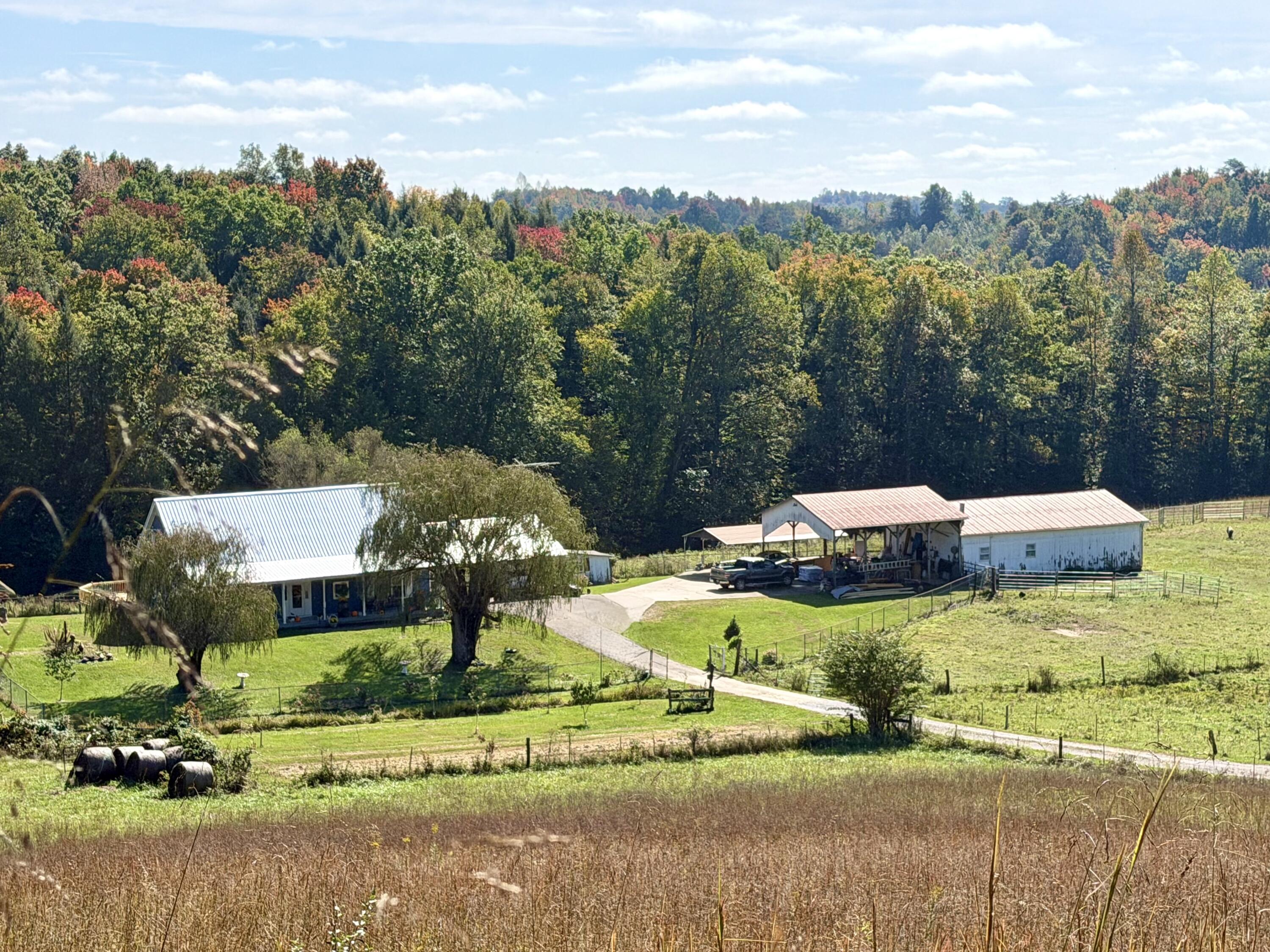 11039 Brown Ridge Road Property Photo 66