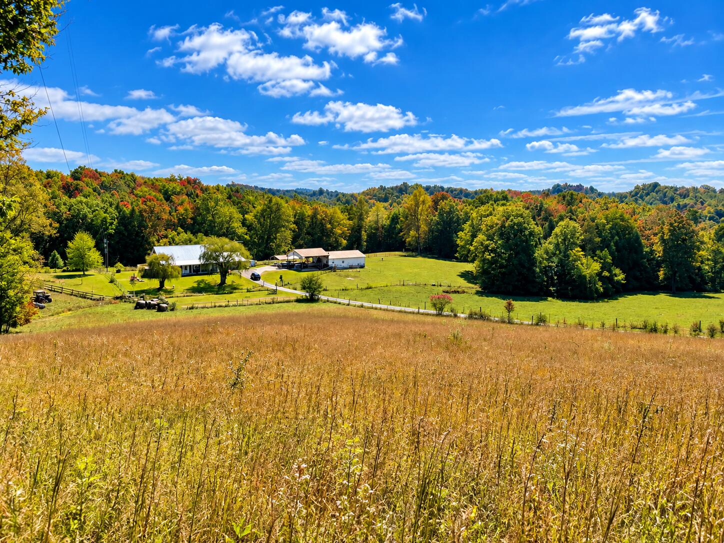 11039 Brown Ridge Road Property Photo 67