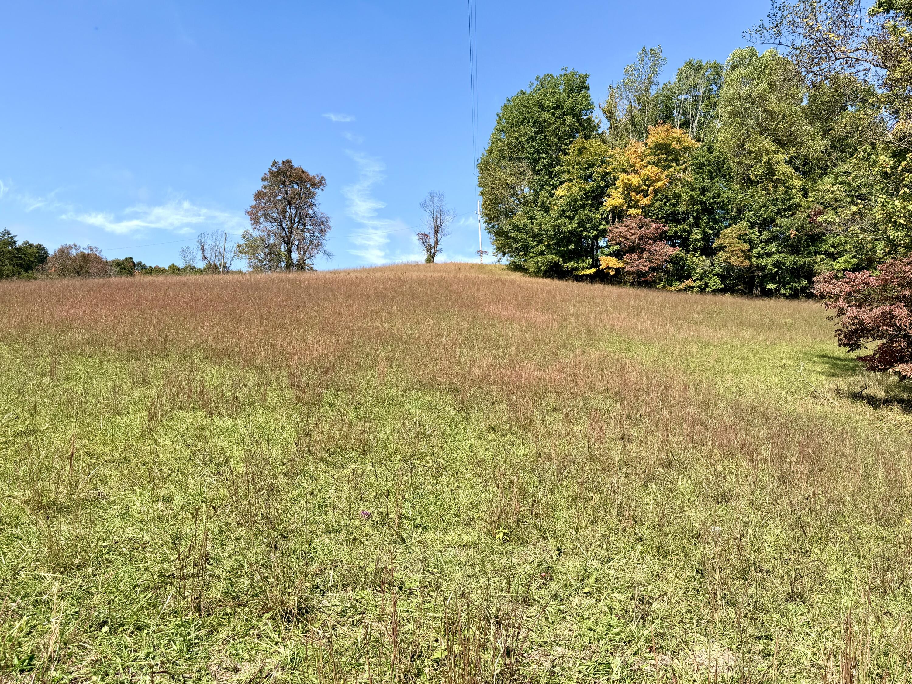 11039 Brown Ridge Road Property Photo 69
