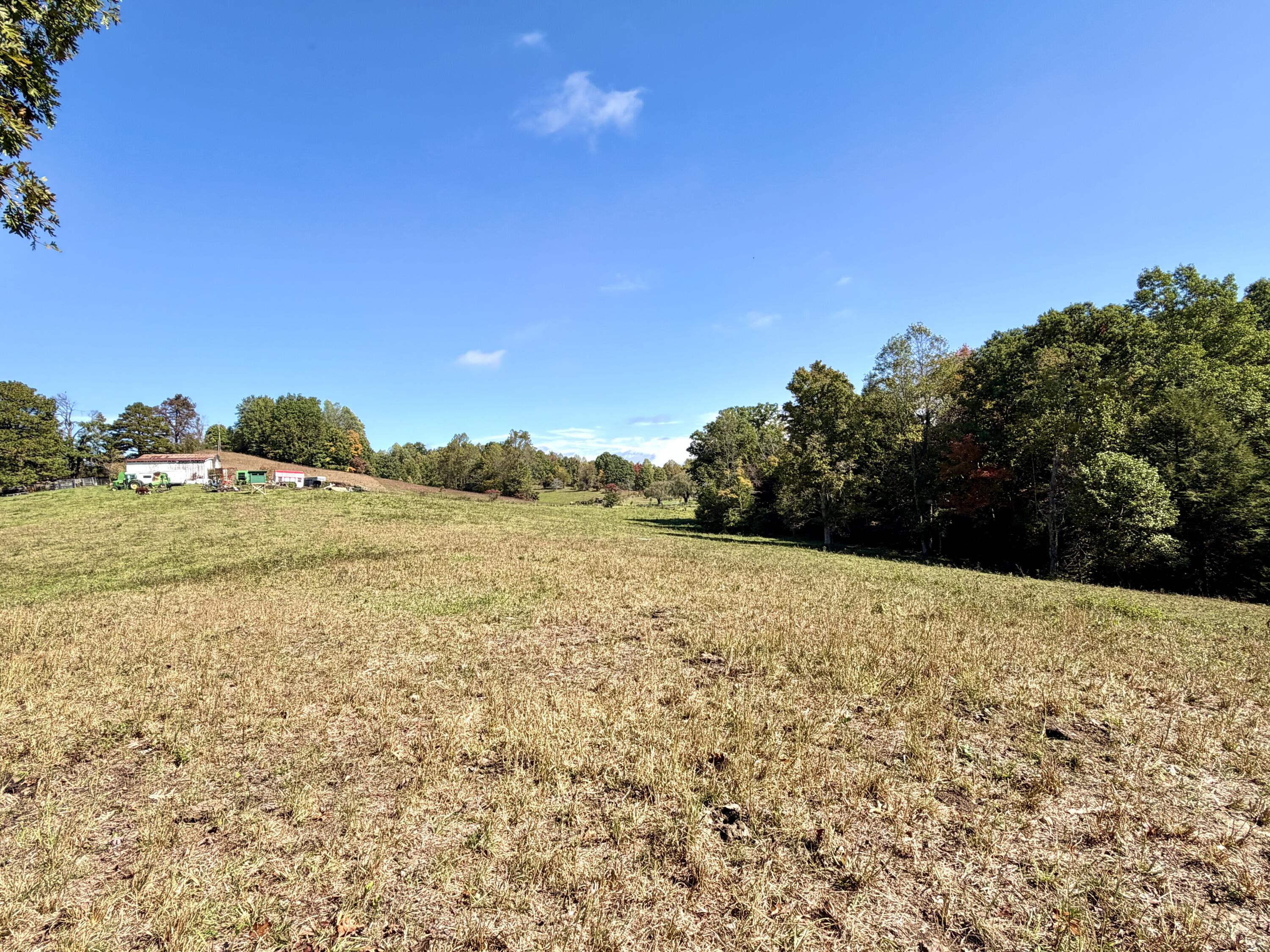 11039 Brown Ridge Road Property Photo 72