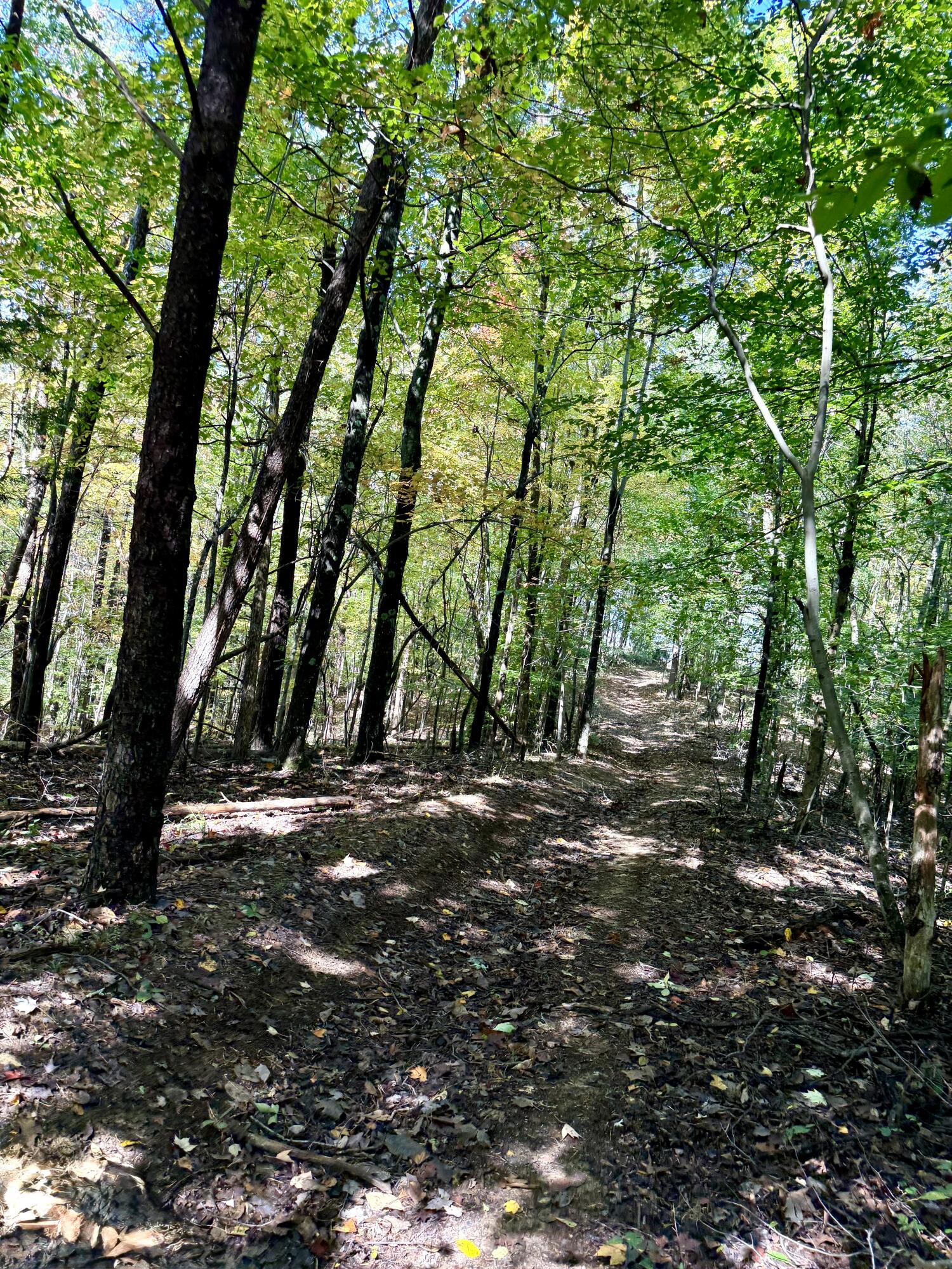 11039 Brown Ridge Road Property Photo 77