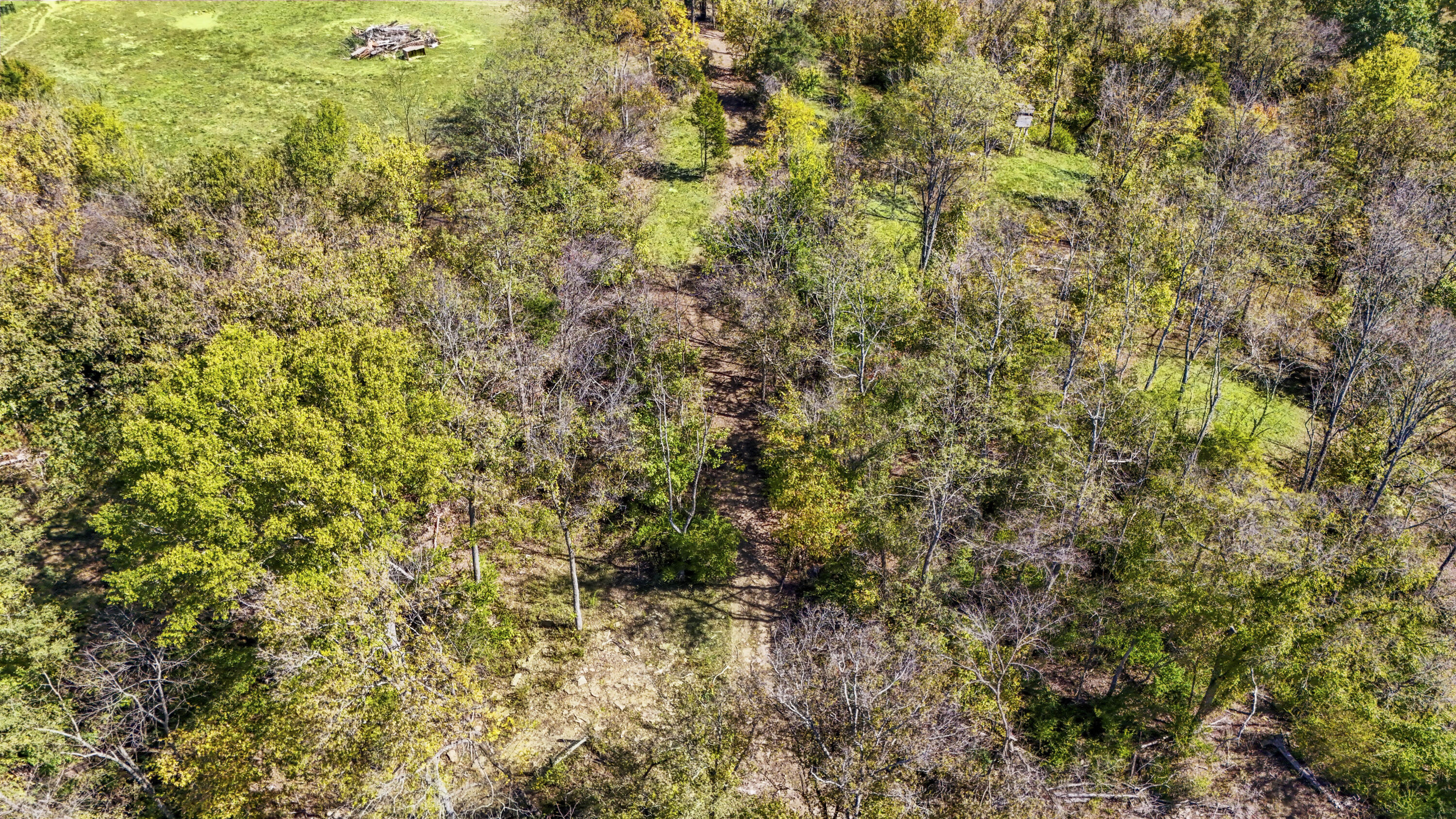 2276 Upper Lick Road Property Photo 22