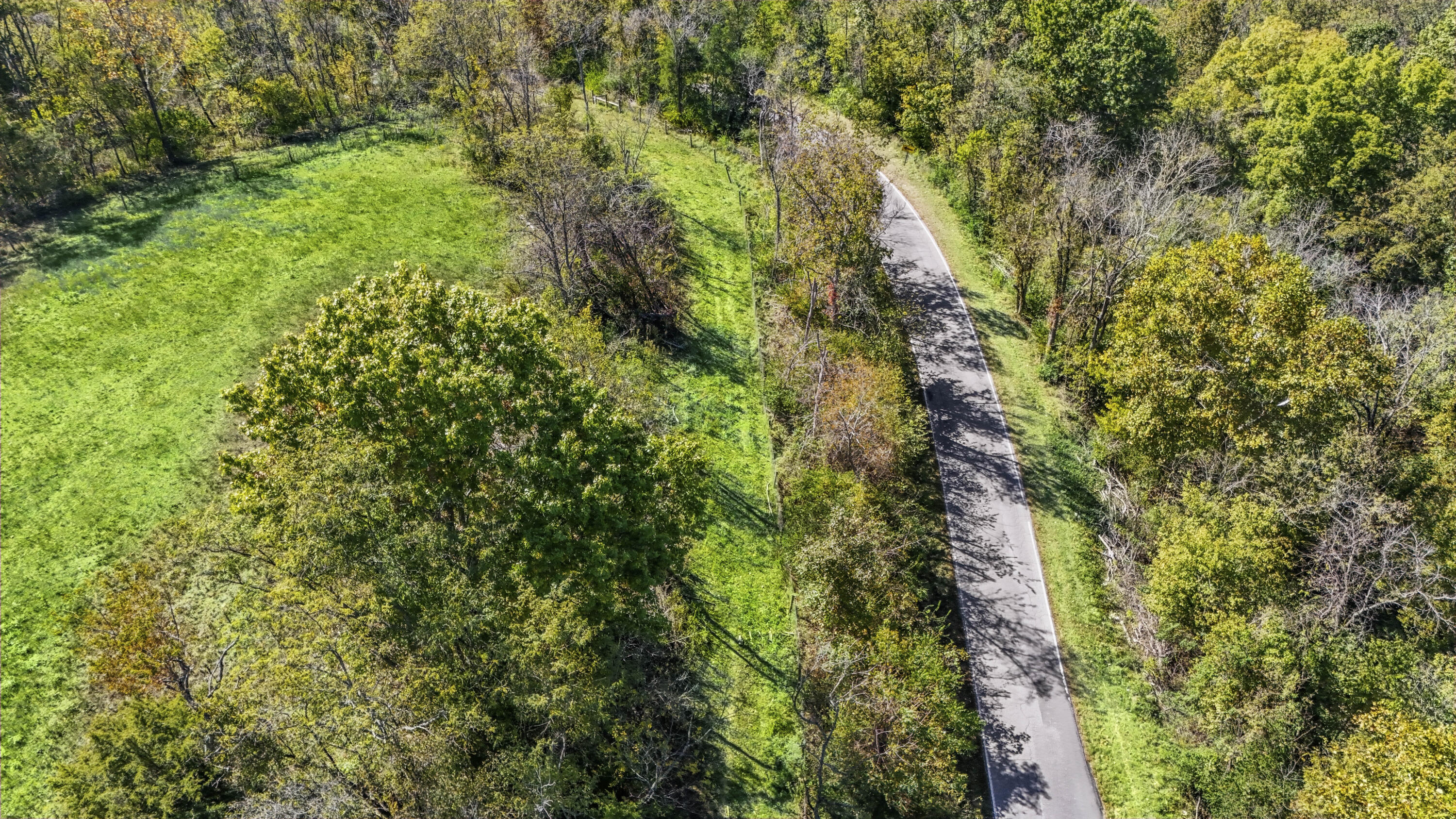 2276 Upper Lick Road Property Photo 23