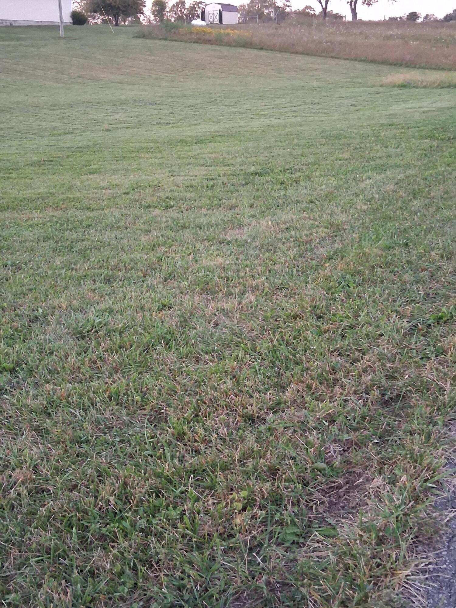 695 Aubrie Boulevard Property Photo 3