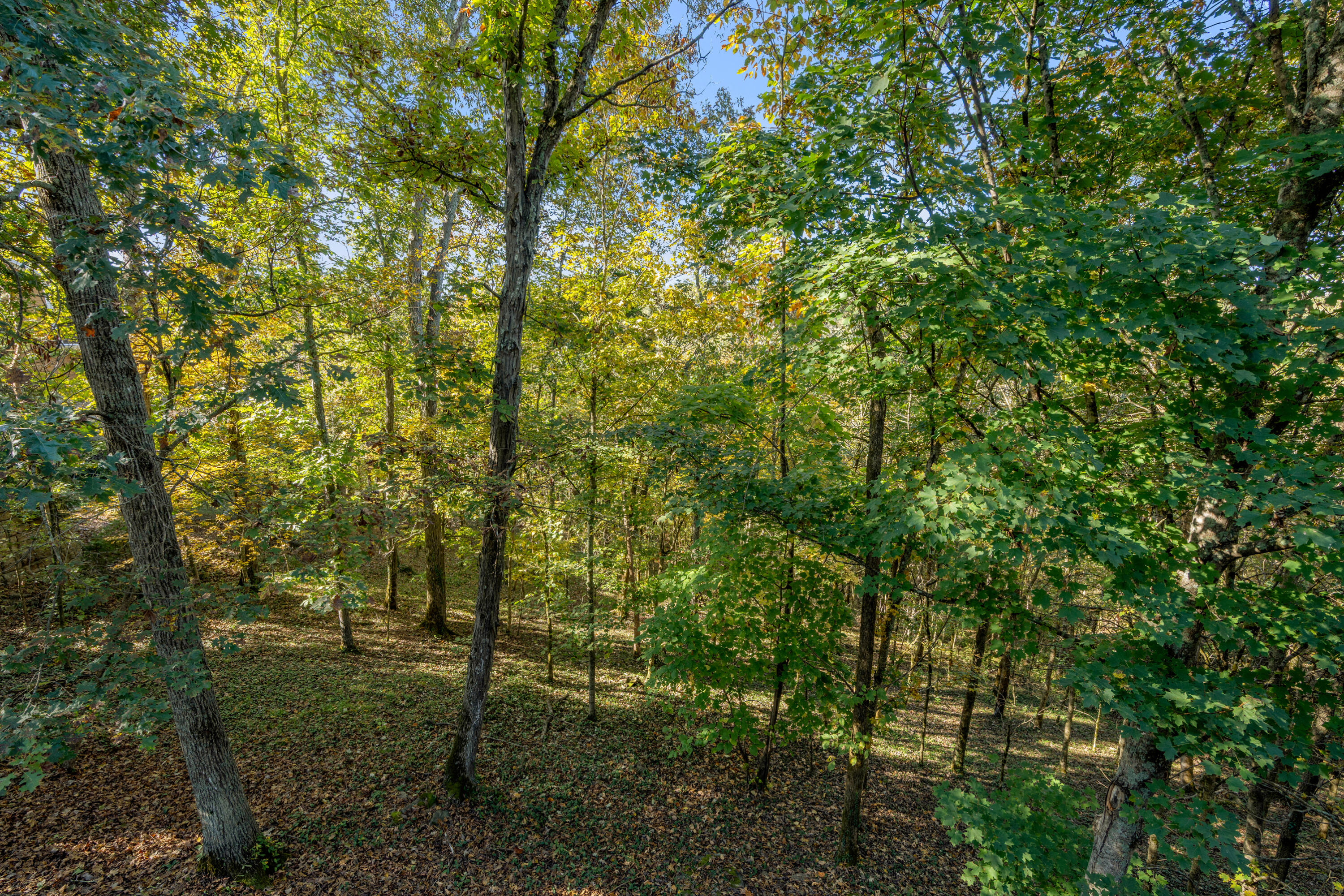 2004 Deerfield Lane Property Photo 49