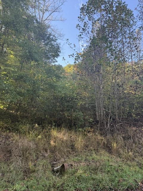 0000 Co Rd 2027 Property Photo 1