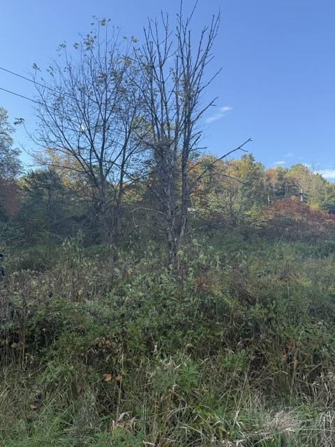 0000 Co Rd 2027 Property Photo 3